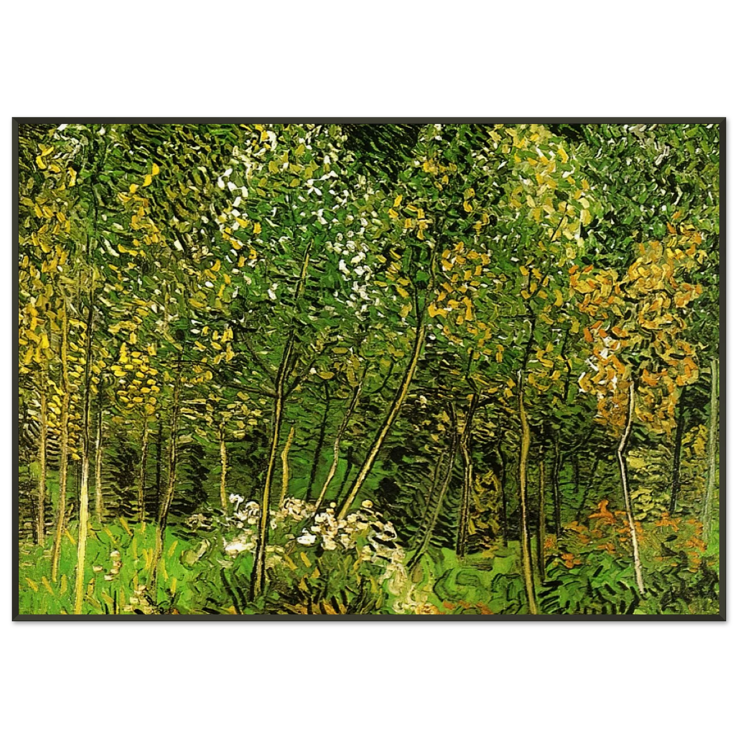 Vincent van Gogh  The Grove Framed Art Print  - Aluminum Frame - 21x29.7 cm / 8x12"