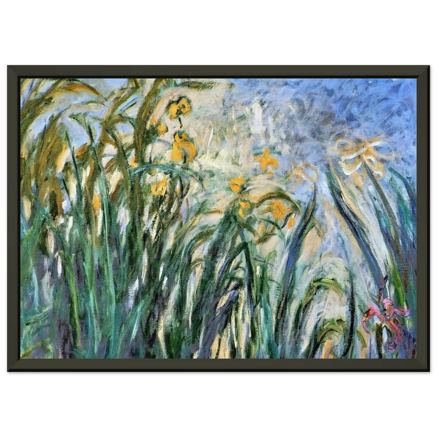 claude monet Yellow Irises and Malva Framed Art Print - Aluminum Frame - 40x50 cm / 16x20 inches