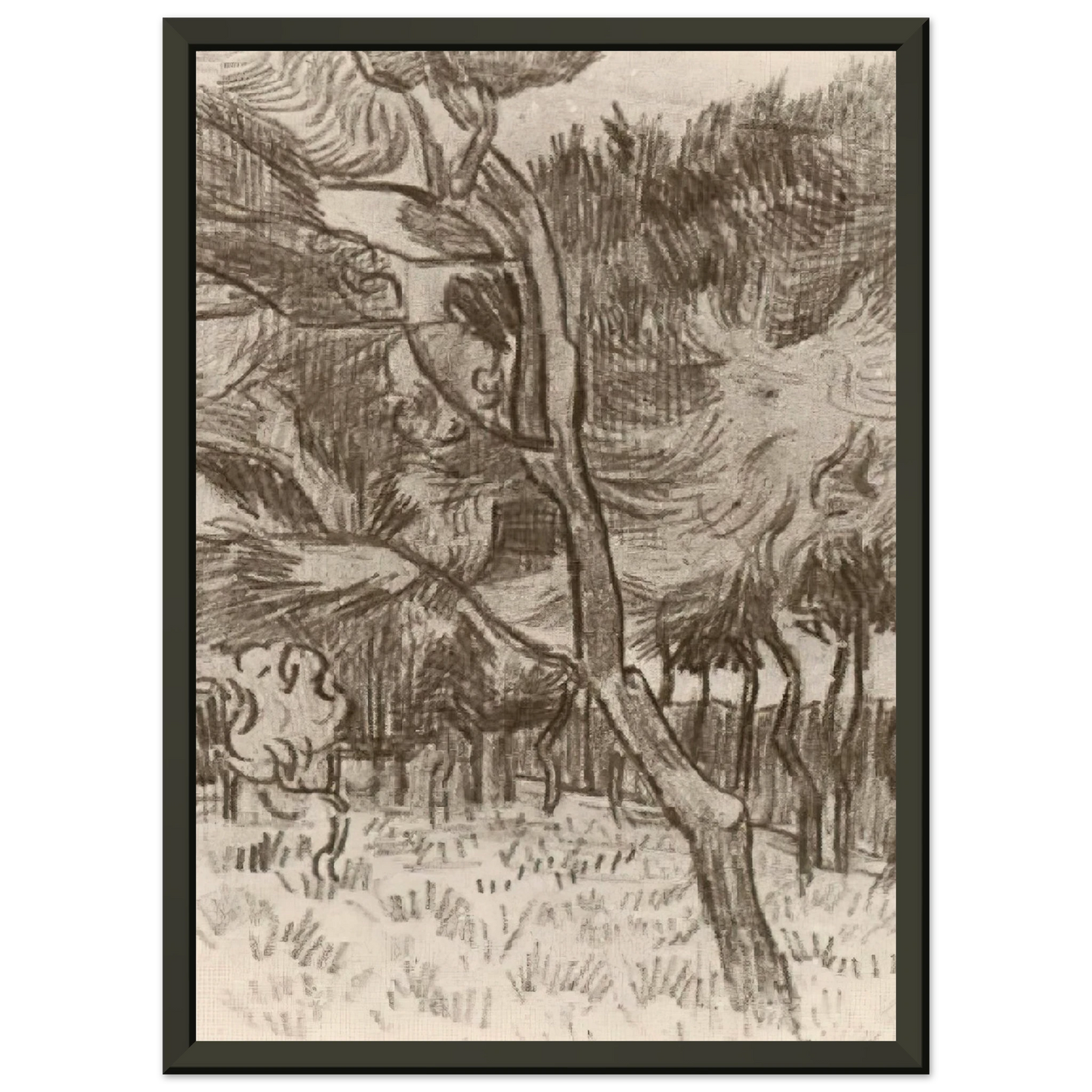 Vincent van Gogh  Pine Trees in the Garden of the Asylum Framed Art Print  - Aluminum Frame - 60x80 cm / 24x32 inches