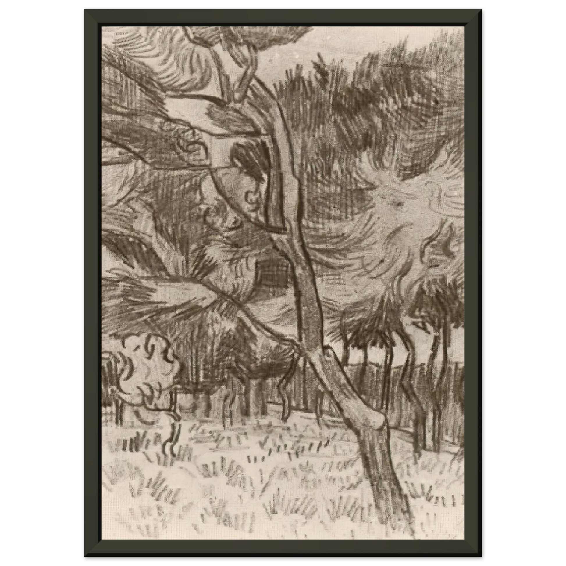 Vincent van Gogh  Pine Trees in the Garden of the Asylum Framed Art Print  - Aluminum Frame - 60x80 cm / 24x32 inches