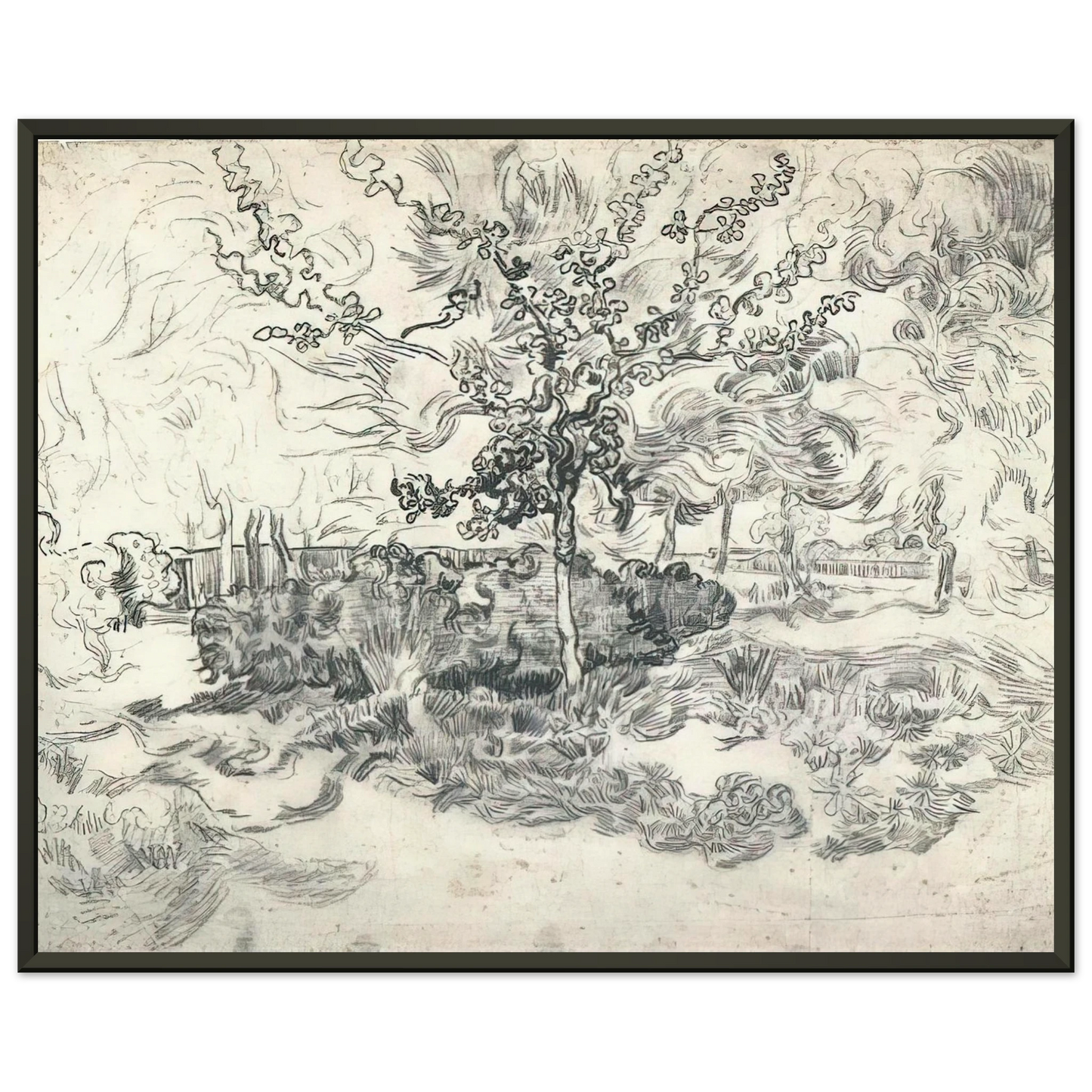 Vincent van Gogh  Garden of the Asylum Framed Art Print  - Aluminum Frame - 60x80 cm / 24x32 inches