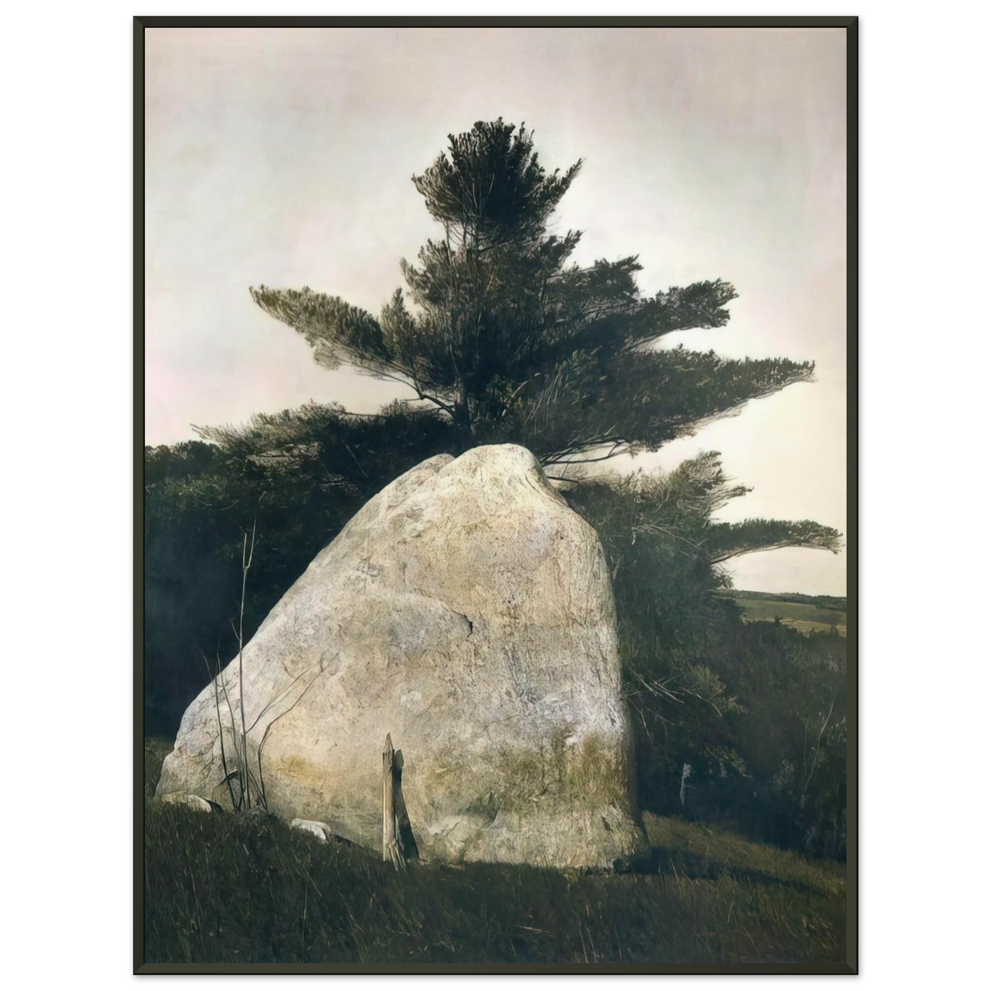 Andrew Wyeth PENNSYLVANIA LANDSCAPE Framed Art Print - Aluminum Frame - 70x100 cm / 28x40 inches