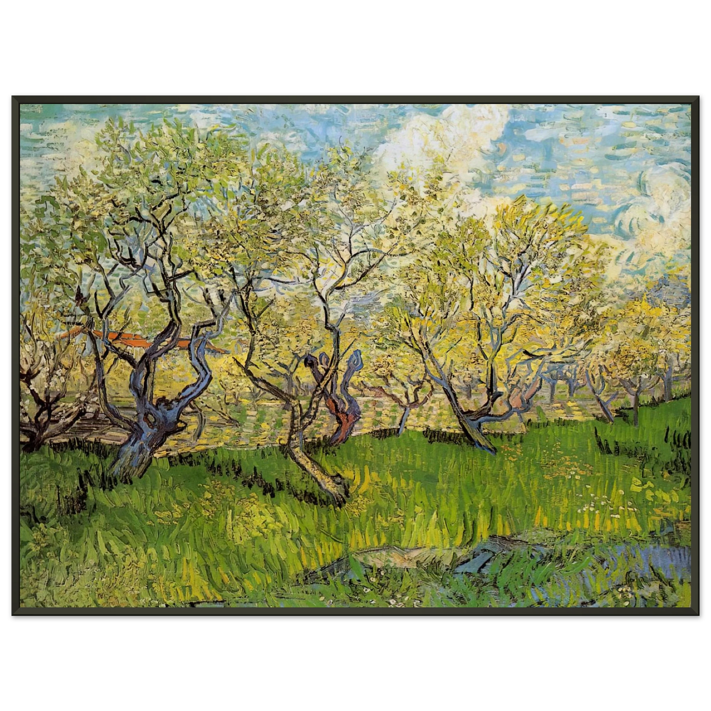 Vincent van Gogh  Orchard in Blossom Framed Art Print  - Aluminum Frame - 40x50 cm / 16x20 inches