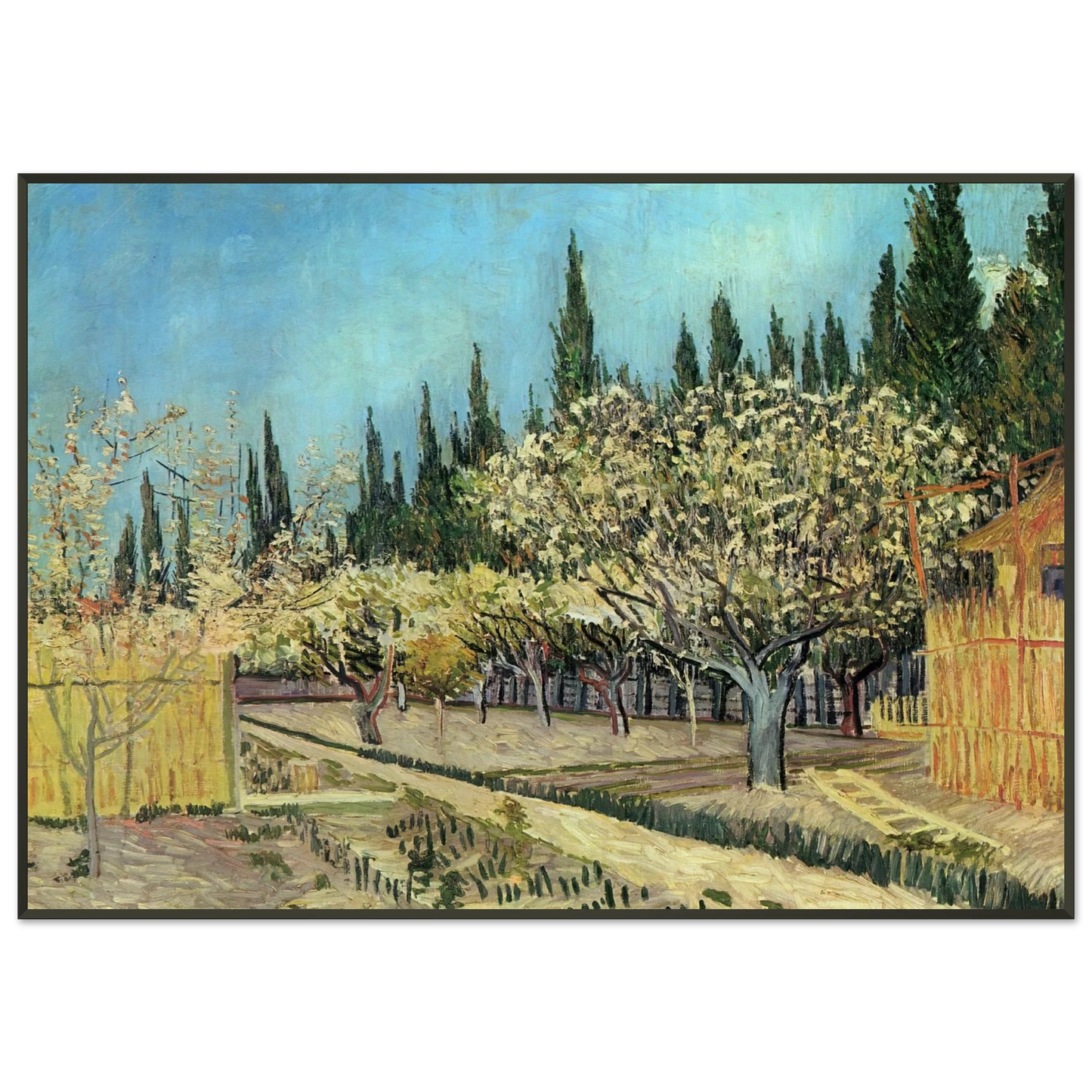 Vincent van Gogh Orchard in Blossom Bordered by Cypresses Framed Art Print - Aluminum Frame - 21x29.7 cm / 8x12"