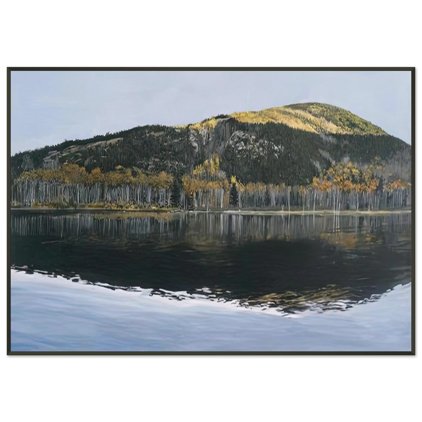 Richard Estes BEAVER DAM POND ACADIA NATIONAL PARK 2009 Framed Art Print - Aluminum Frame - 21x29.7 cm / 8x12"