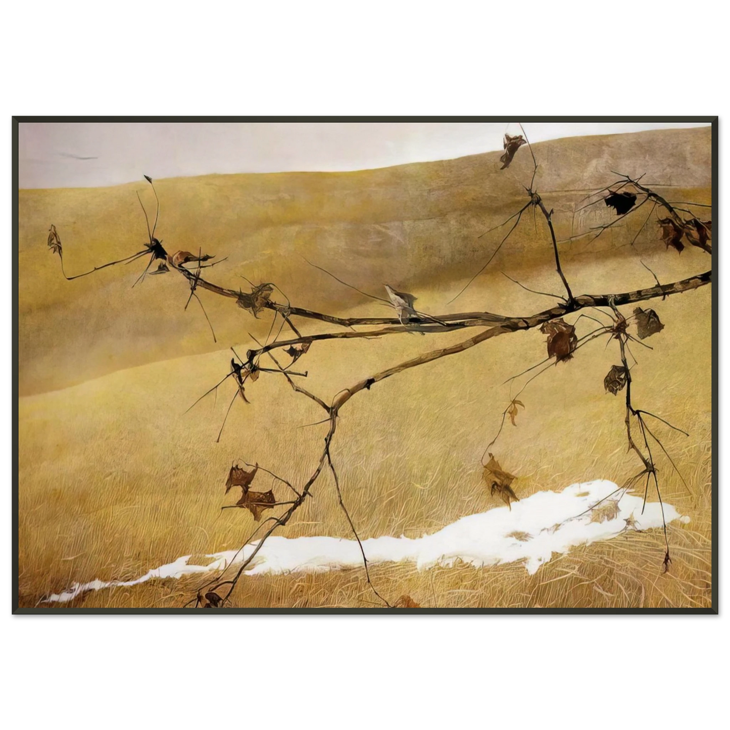 Andrew Wyeth LONG LIMB Framed Art Print - Aluminum Frame - 21x29.7 cm / 8x12"