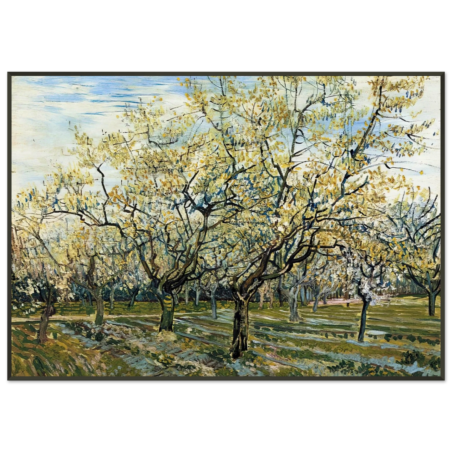 Vincent van Gogh  Orchard with Blossoming Plum Trees Framed Art Print  - Aluminum Frame - 21x29.7 cm / 8x12"