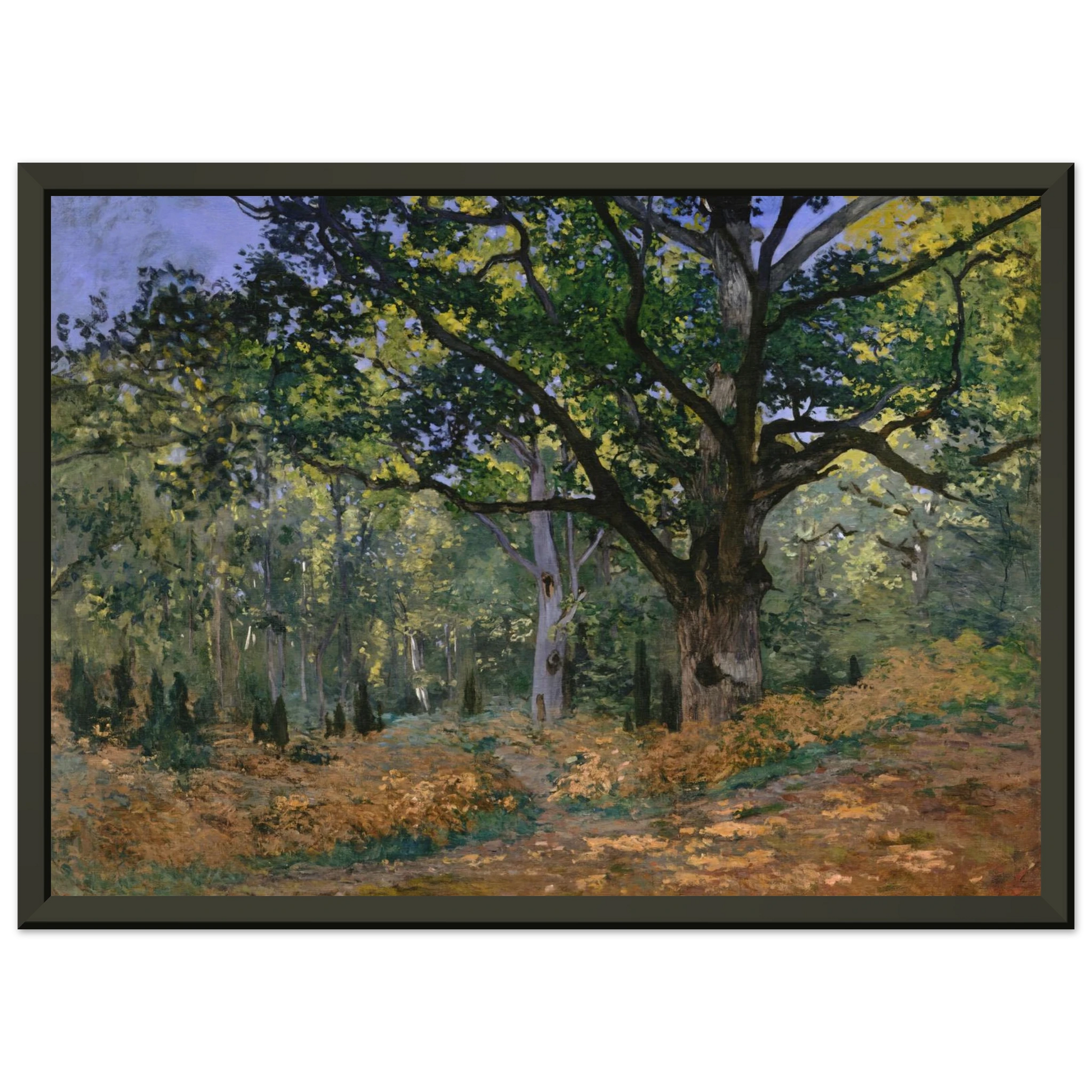 claude monet  The Bodmer Oak Fontainebleau Framed Art Print  - Aluminum Frame - 70x100 cm / 28x40 inches