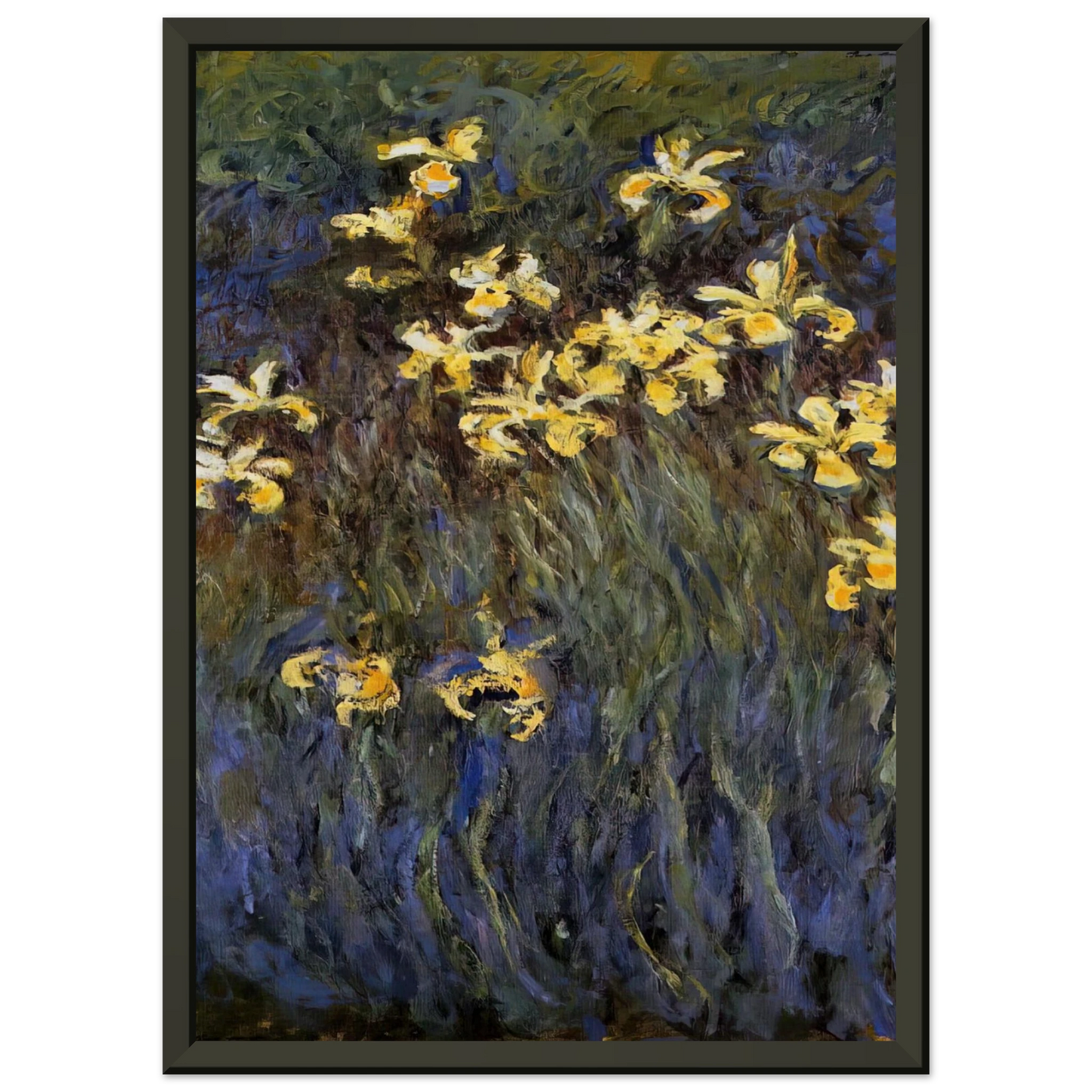 claude monet The Yellow Irises Framed Art Print - Aluminum Frame - 40x50 cm / 16x20 inches
