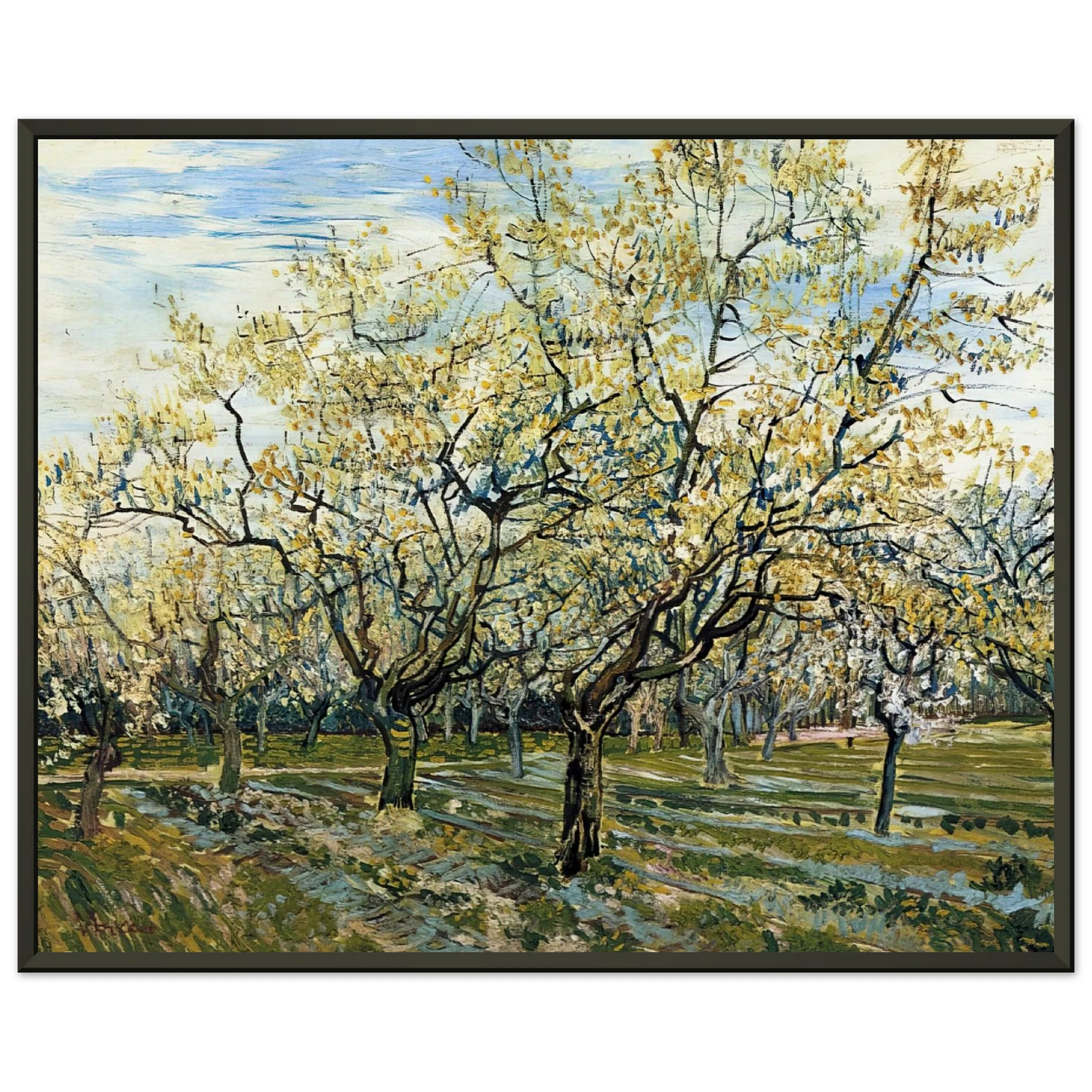 Vincent van Gogh  Orchard with Blossoming Plum Trees Framed Art Print  - Aluminum Frame - 40x50 cm / 16x20 inches