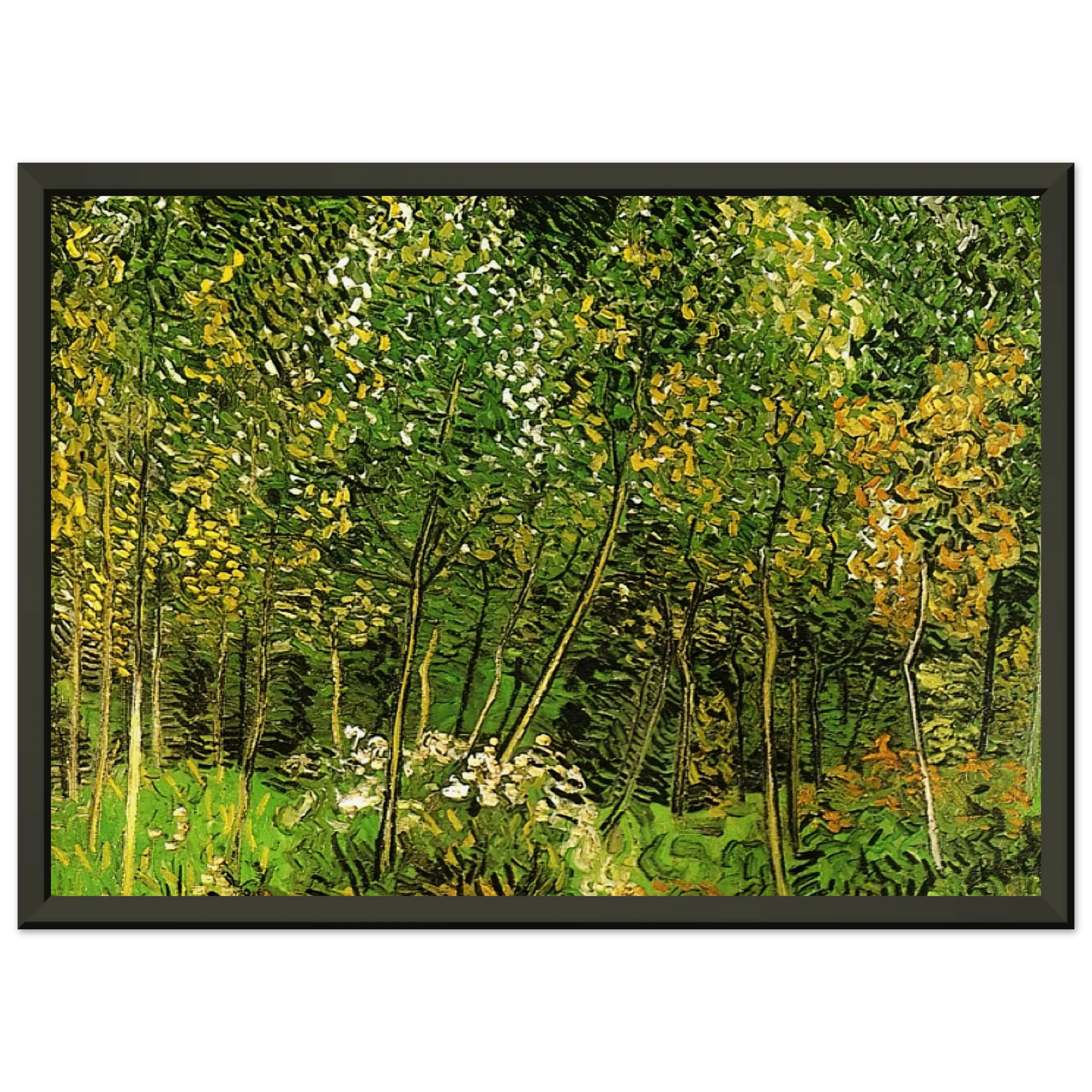 Vincent van Gogh  The Grove Framed Art Print  - Aluminum Frame - 70x100 cm / 28x40 inches