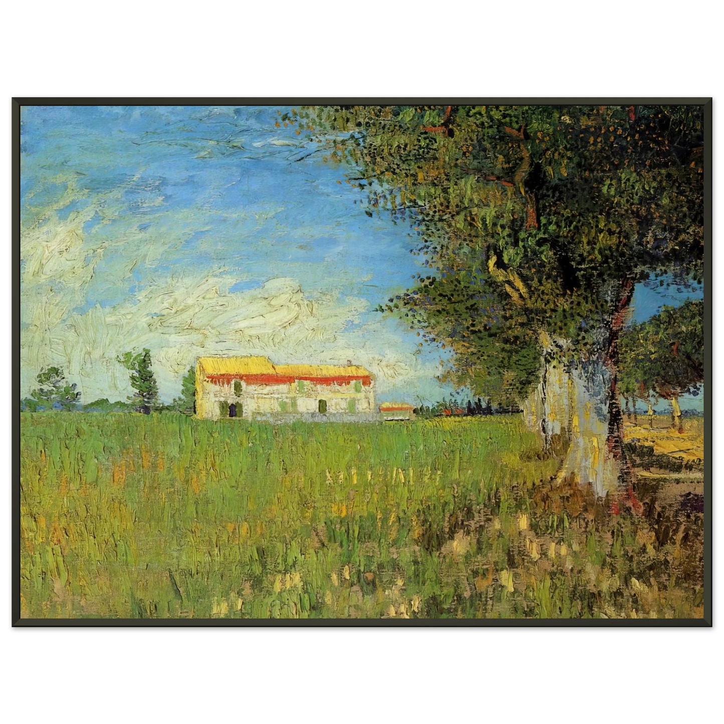 Vincent van Gogh  Farmhouse in a Wheat Field Framed Art Print  - Aluminum Frame - 60x80 cm / 24x32 inches