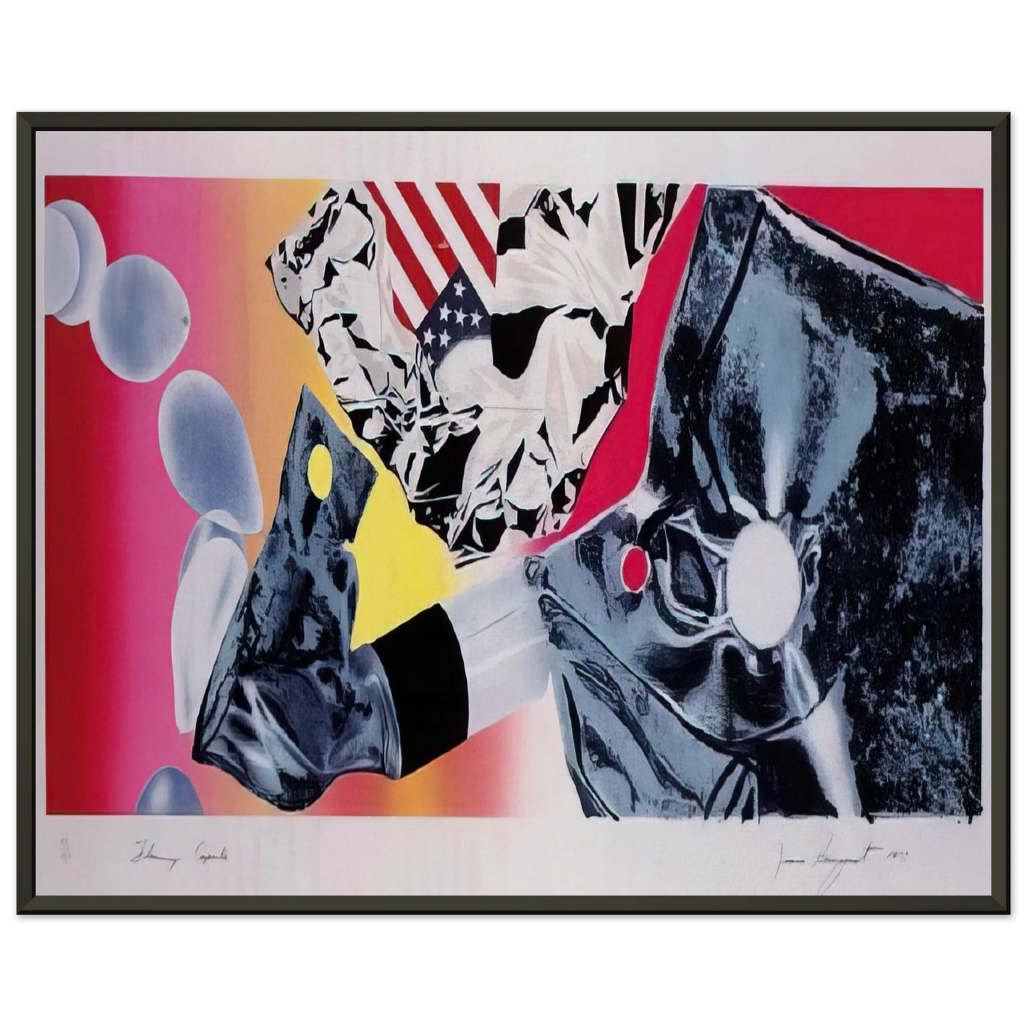 James Rosenquist Flamingo Capsule Framed Art Print - Aluminum Frame - 60x80 cm / 24x32 inches