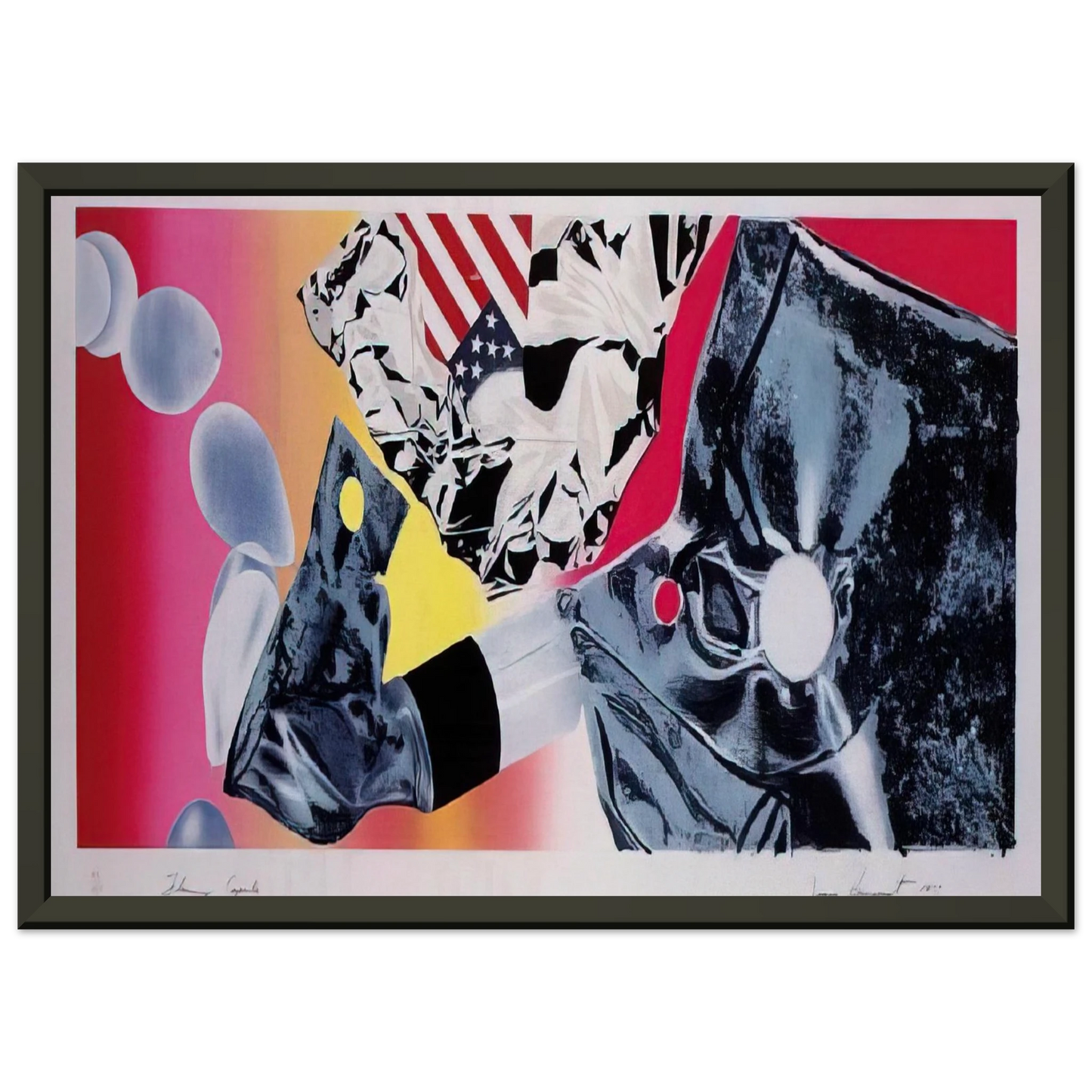 James Rosenquist Flamingo Capsule Framed Art Print - Aluminum Frame - 40x50 cm / 16x20 inches