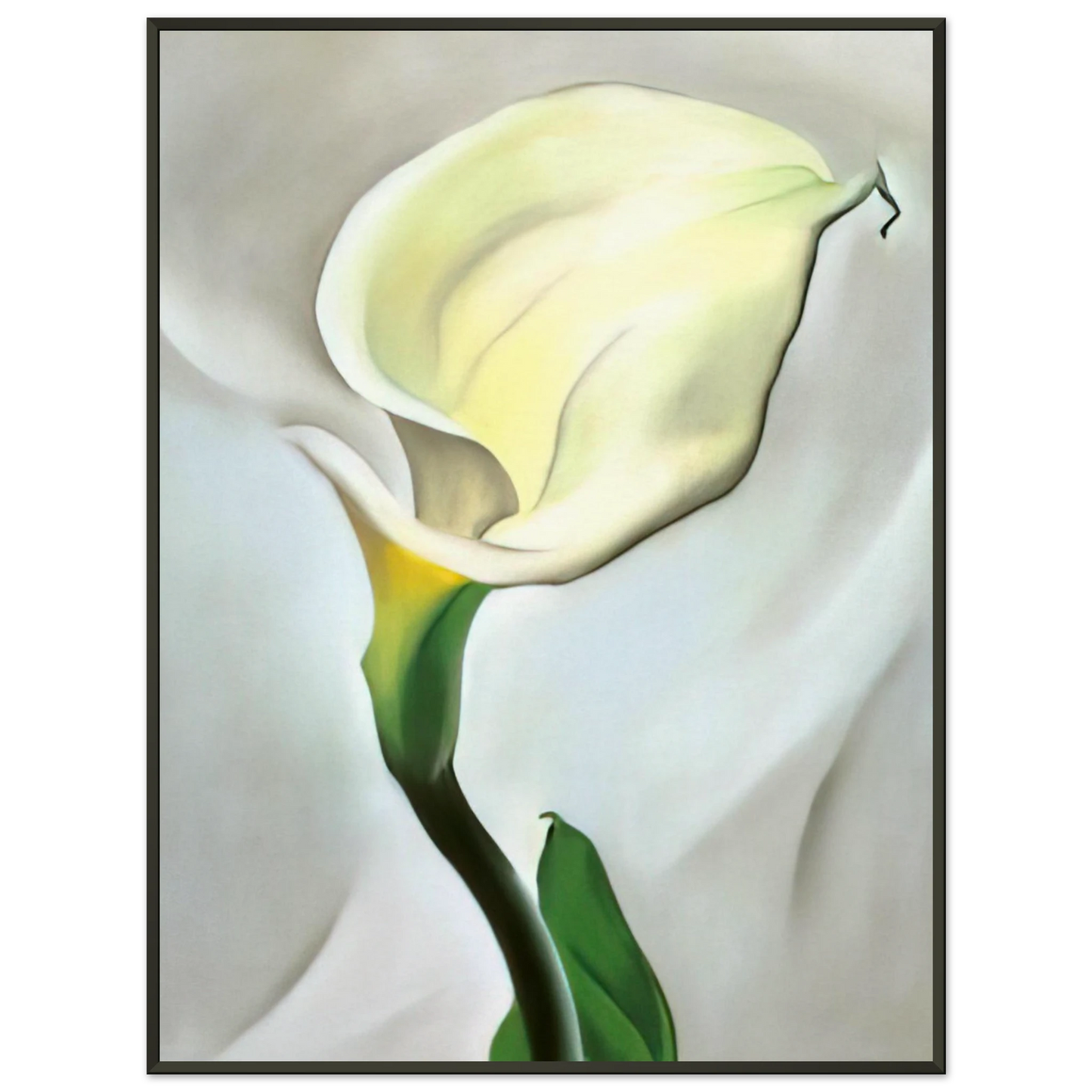 Georgia OKeeffe Calla Lily Turned Away Framed Art Print - Aluminum Frame - 70x100 cm / 28x40 inches