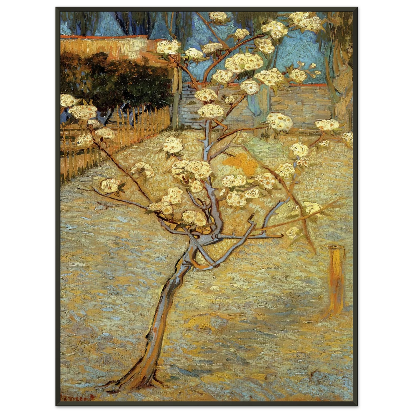 Vincent van Gogh Pear Tree in Blossom Framed Art Print - Aluminum Frame - 40x50 cm / 16x20 inches