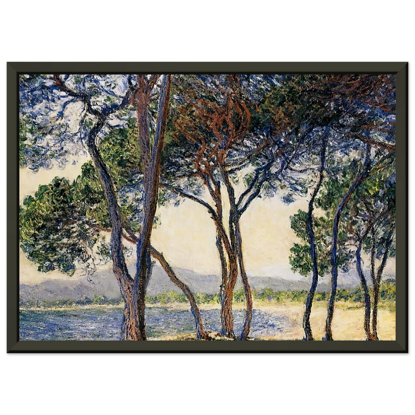 claude monet Trees by the Seashore at Antibes Framed Art Print - Aluminum Frame - 40x50 cm / 16x20 inches