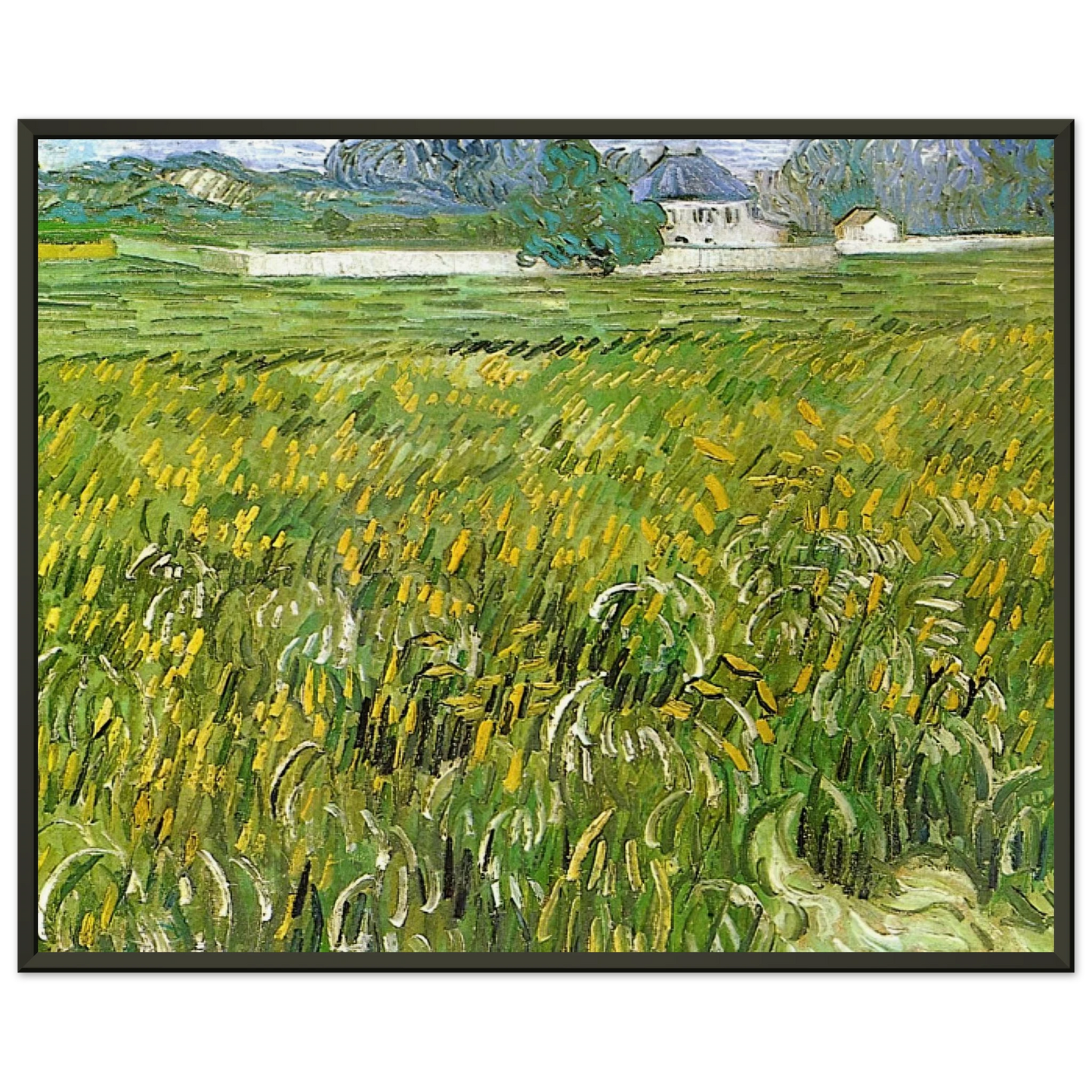 Vincent van Gogh Wheat Field at Auvers with White House Framed Art Print - Aluminum Frame - 40x50 cm / 16x20 inches