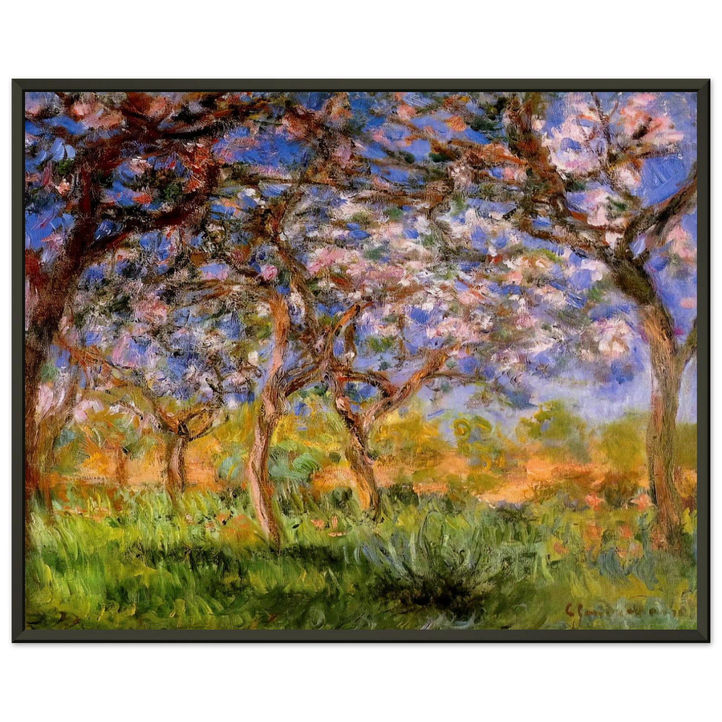 claude monet  Giverny in Springtime Framed Art Print  - Aluminum Frame - 40x50 cm / 16x20 inches