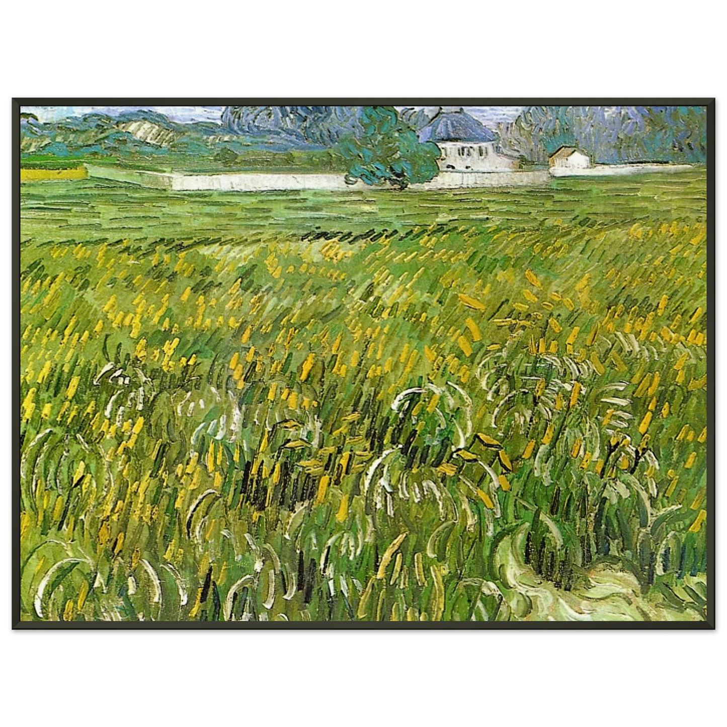 Vincent van Gogh Wheat Field at Auvers with White House Framed Art Print - Aluminum Frame - 70x100 cm / 28x40 inches