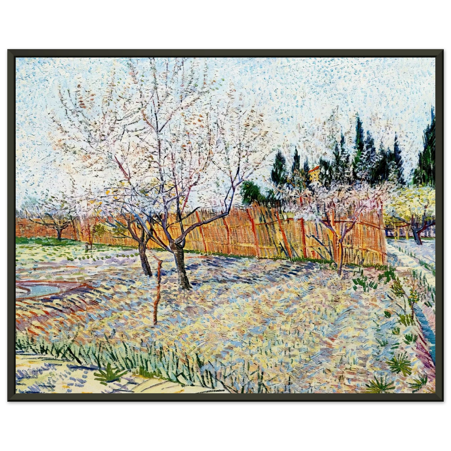 Vincent van Gogh  Orchard with Peach Trees in Blossom Framed Art Print  - Aluminum Frame - 40x50 cm / 16x20 inches