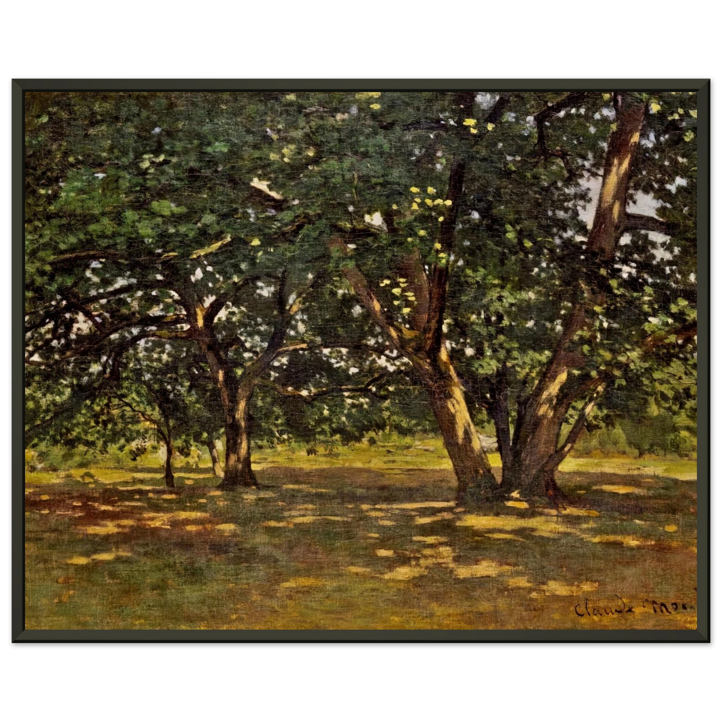 claude monet  Fontainebleau Forest Framed Art Print  - Aluminum Frame - 60x80 cm / 24x32 inches