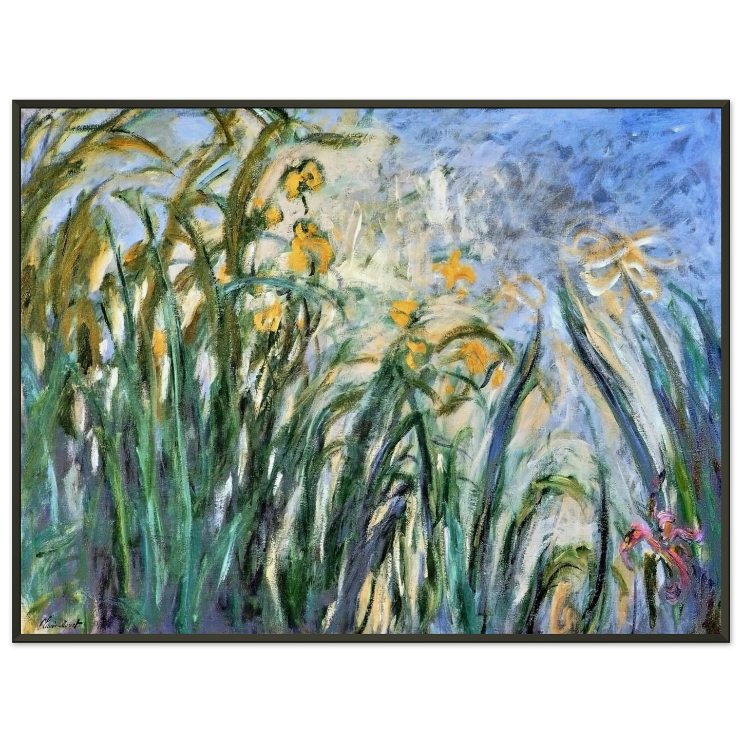 claude monet Yellow Irises and Malva Framed Art Print - Aluminum Frame - 60x80 cm / 24x32 inches