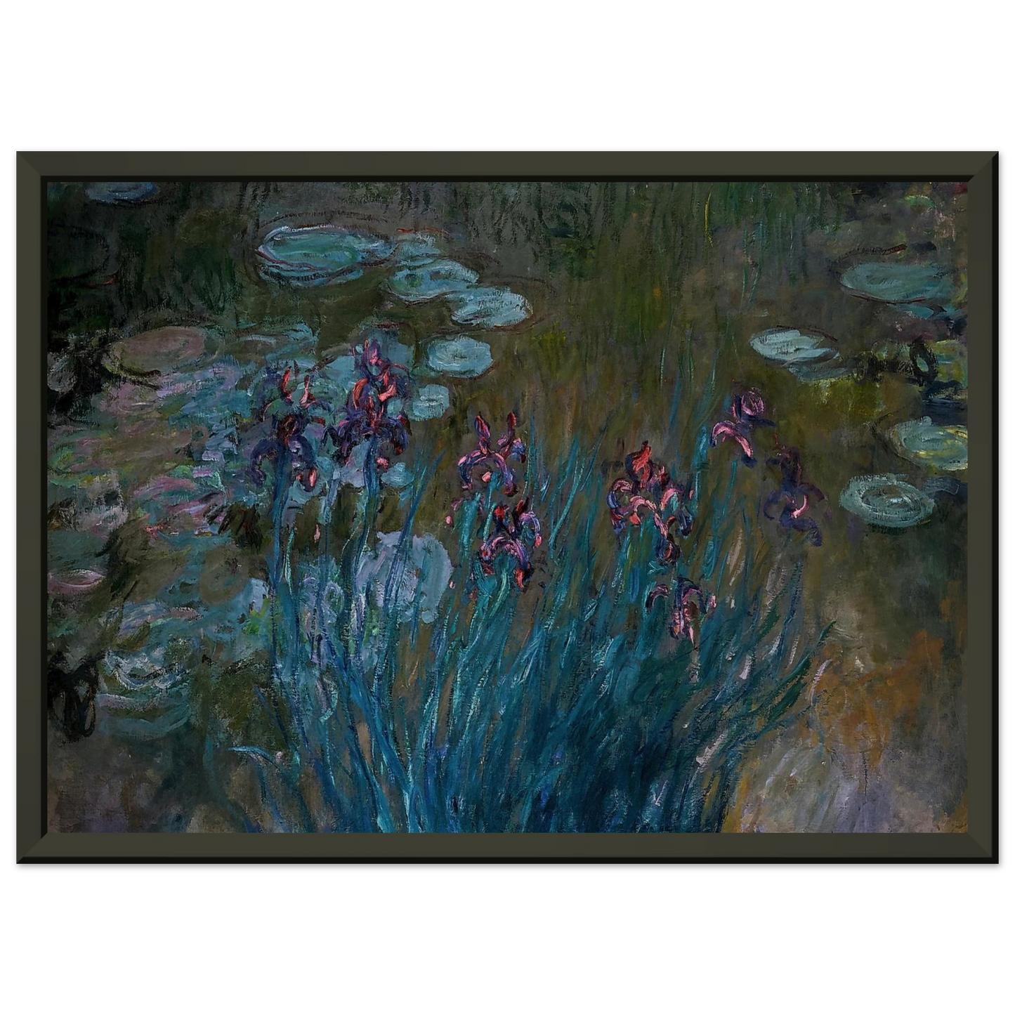claude monet  Irises and WaterLilies Framed Art Print  - Aluminum Frame - 70x100 cm / 28x40 inches