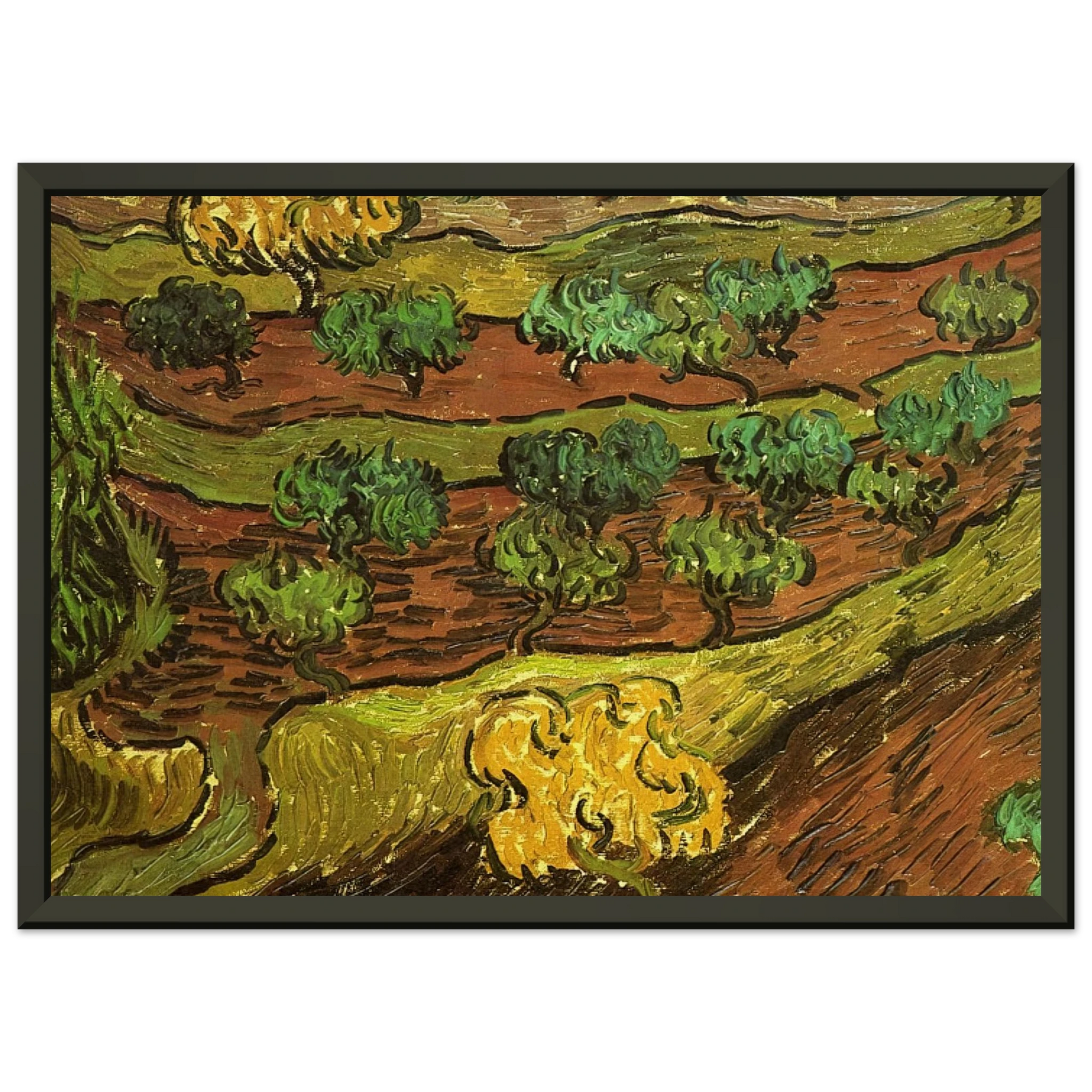 Vincent van Gogh  Olive Trees against a Slope of a Hill Framed Art Print  - Aluminum Frame - 40x50 cm / 16x20 inches