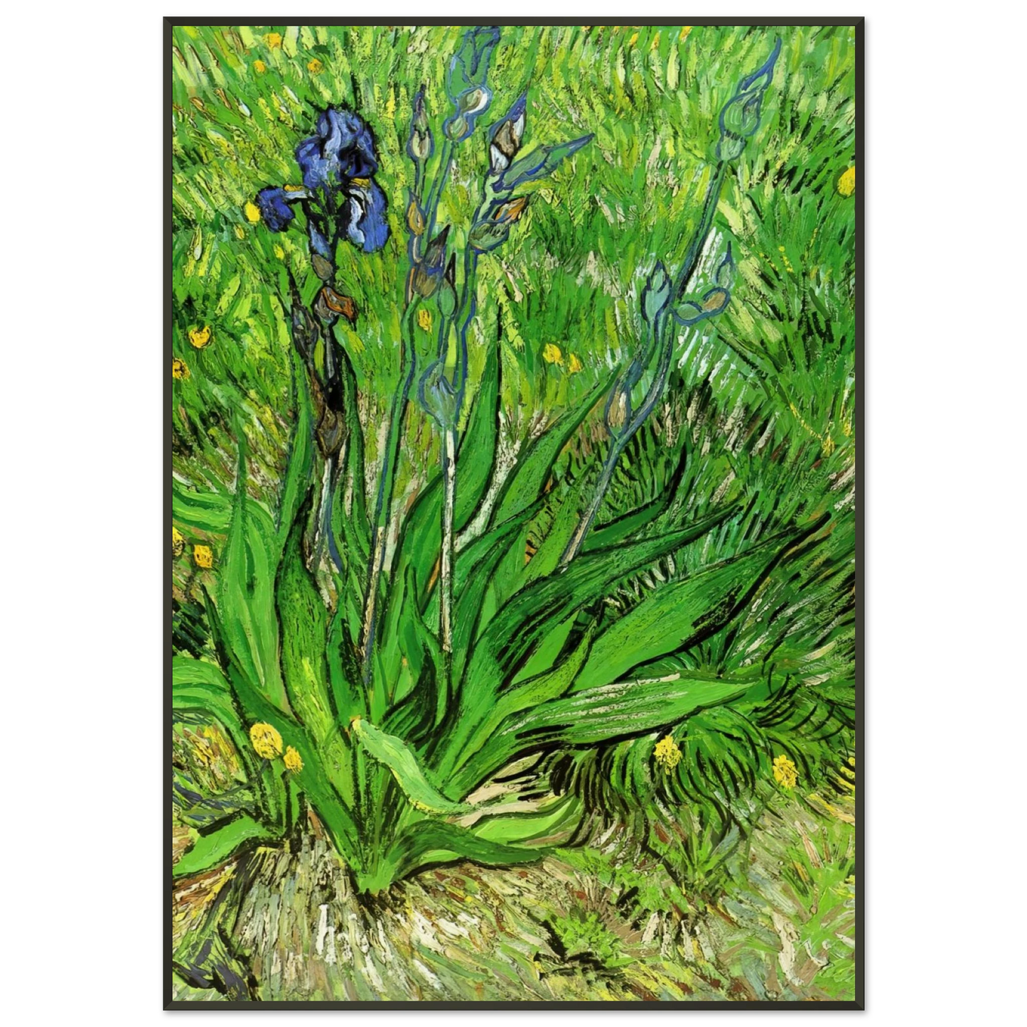 Vincent van Gogh  The Iris Framed Art Print  - Aluminum Frame - 21x29.7 cm / 8x12"