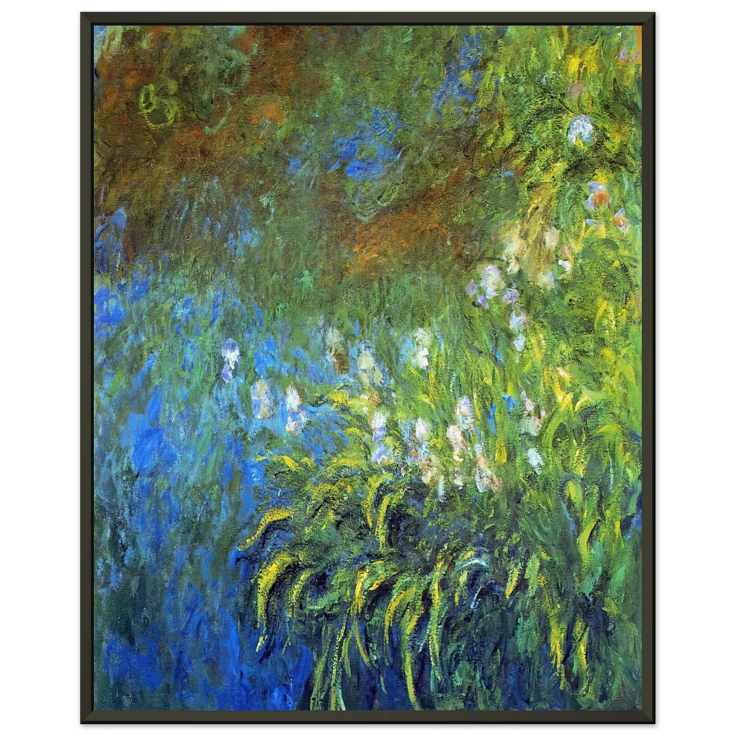 claude monet Iris at the SeaRose Pond Framed Art Print - Aluminum Frame - 60x80 cm / 24x32 inches