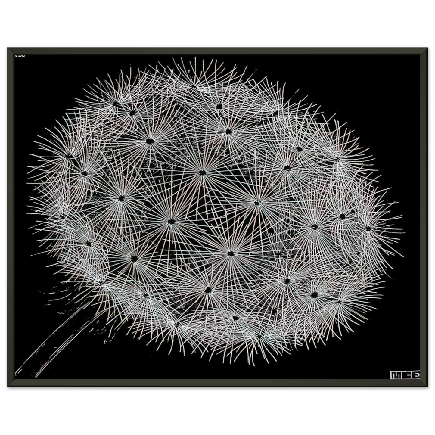 d06ff9b2-c901-4b57-8152-146f67d42f20