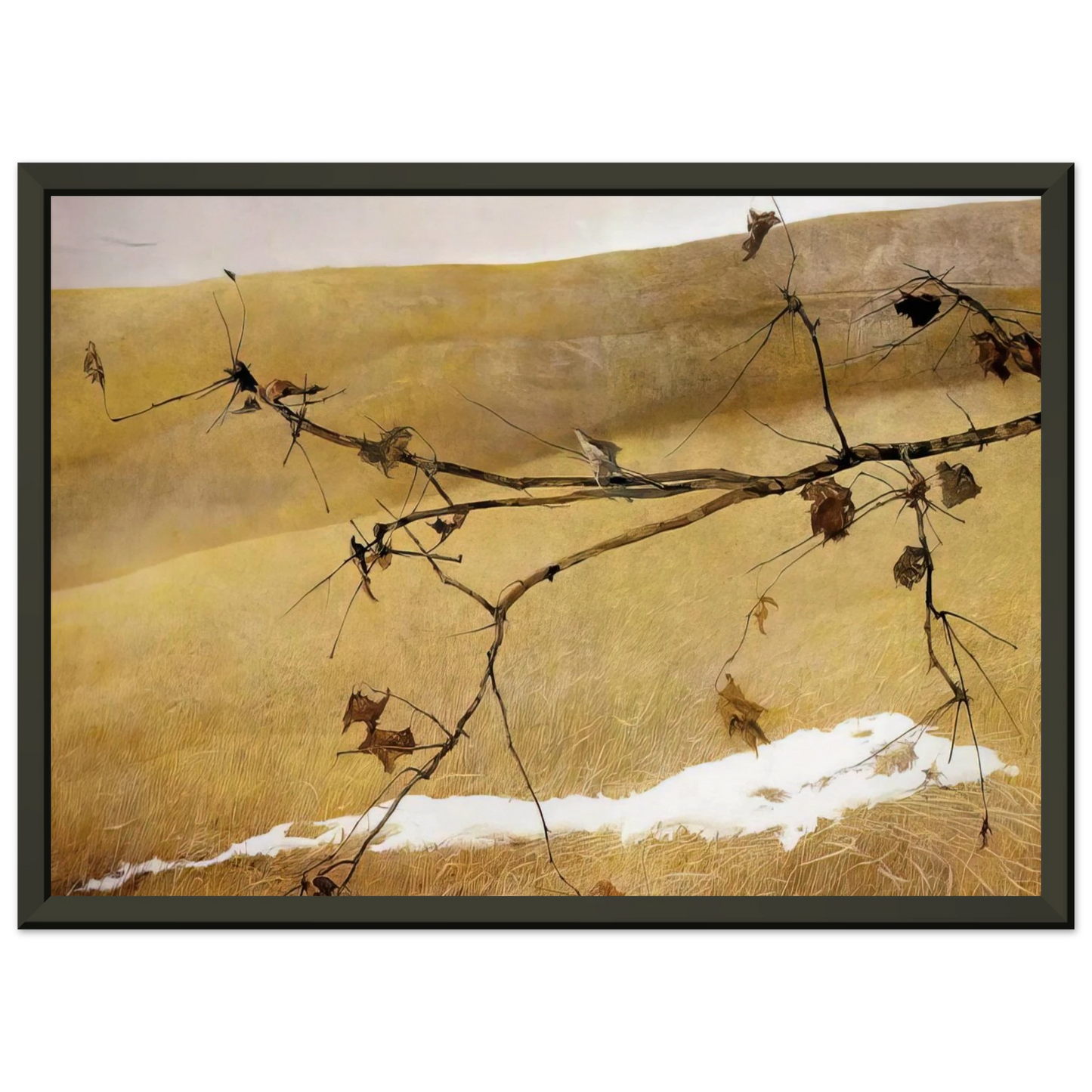 Andrew Wyeth LONG LIMB Framed Art Print - Aluminum Frame - 60x80 cm / 24x32 inches