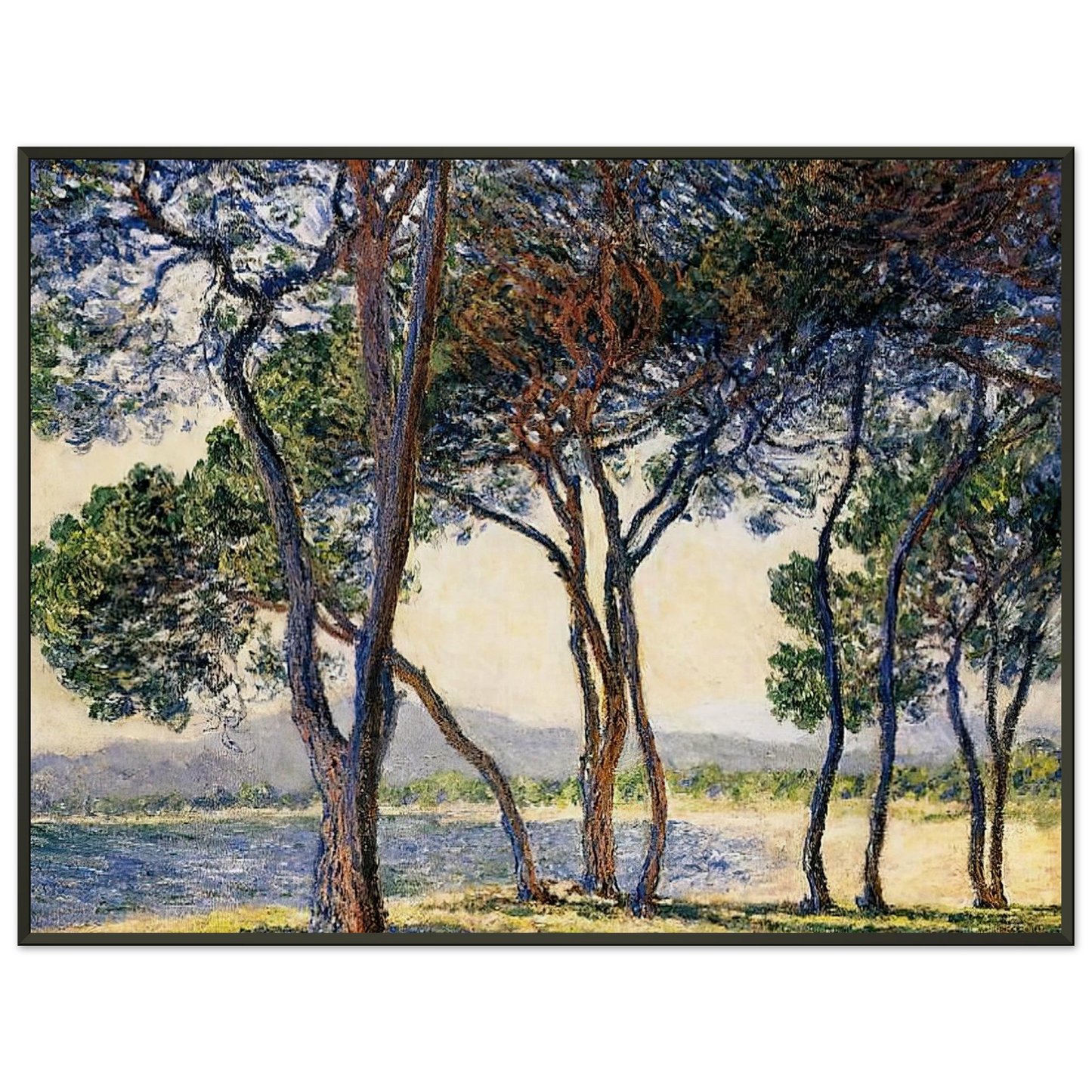 claude monet Trees by the Seashore at Antibes Framed Art Print - Aluminum Frame - 60x80 cm / 24x32 inches