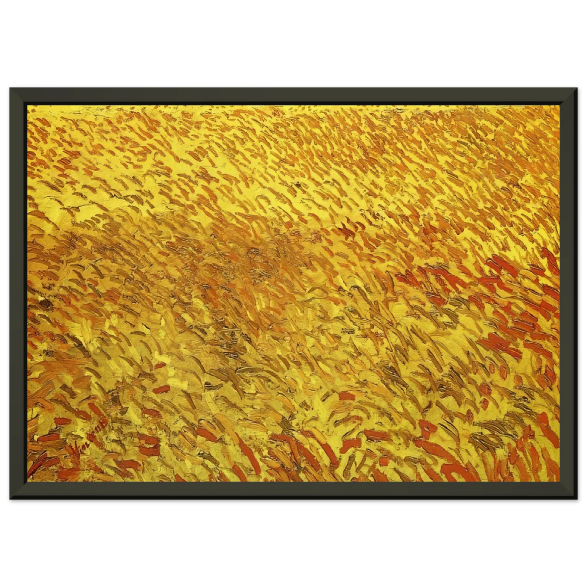 Vincent van Gogh  Summer Evening Wheatfield with Setting sun Framed Art Print  - Aluminum Frame - 70x100 cm / 28x40 inches