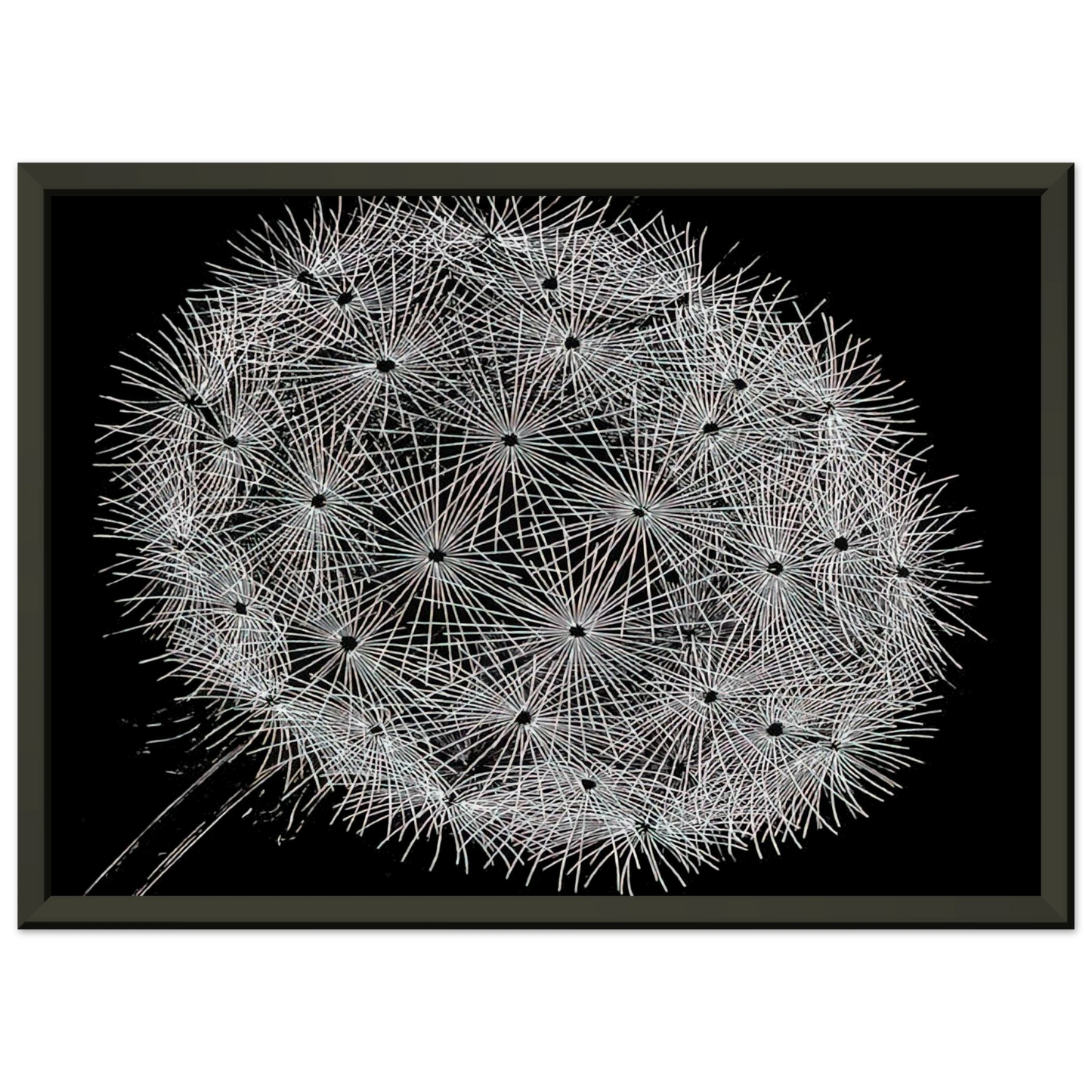 def4e6cc-900e-4068-ac84-040c54bbf809