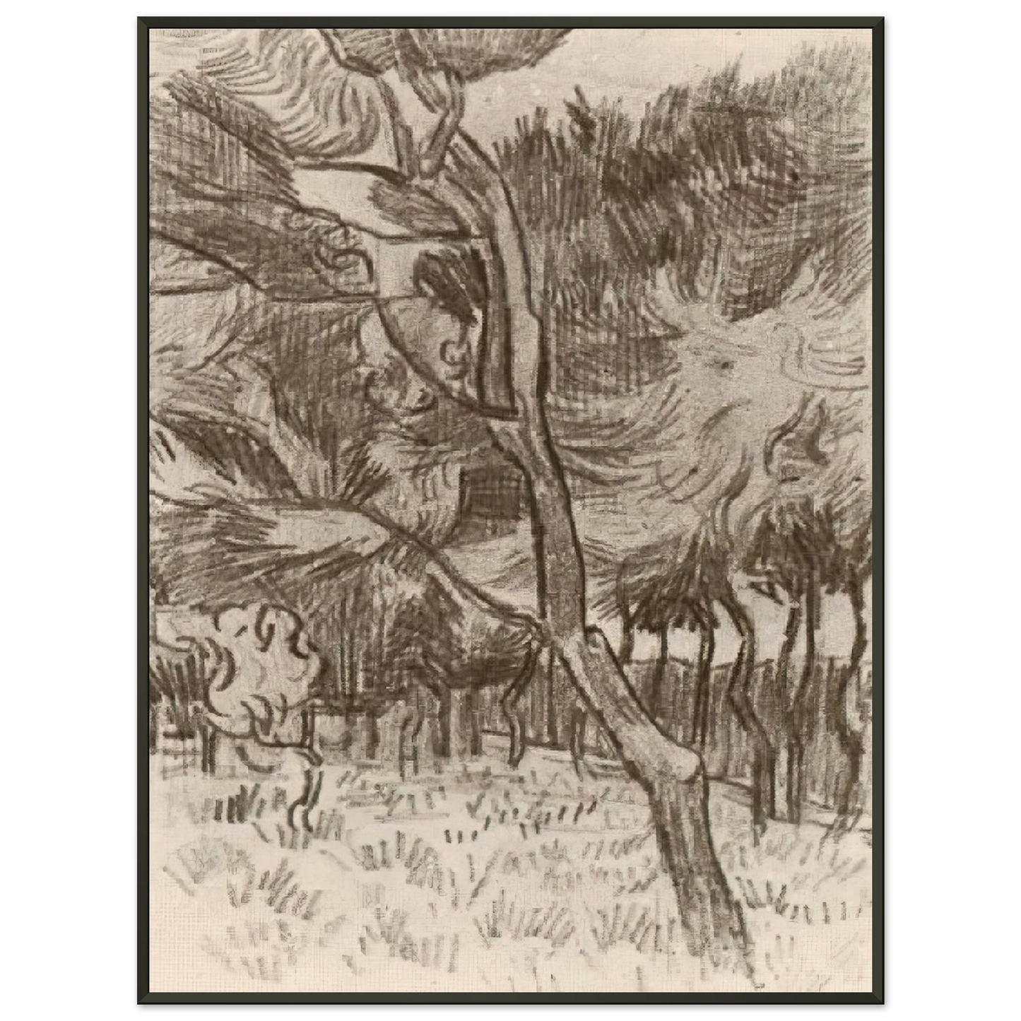 Vincent van Gogh  Pine Trees in the Garden of the Asylum Framed Art Print  - Aluminum Frame - 40x50 cm / 16x20 inches