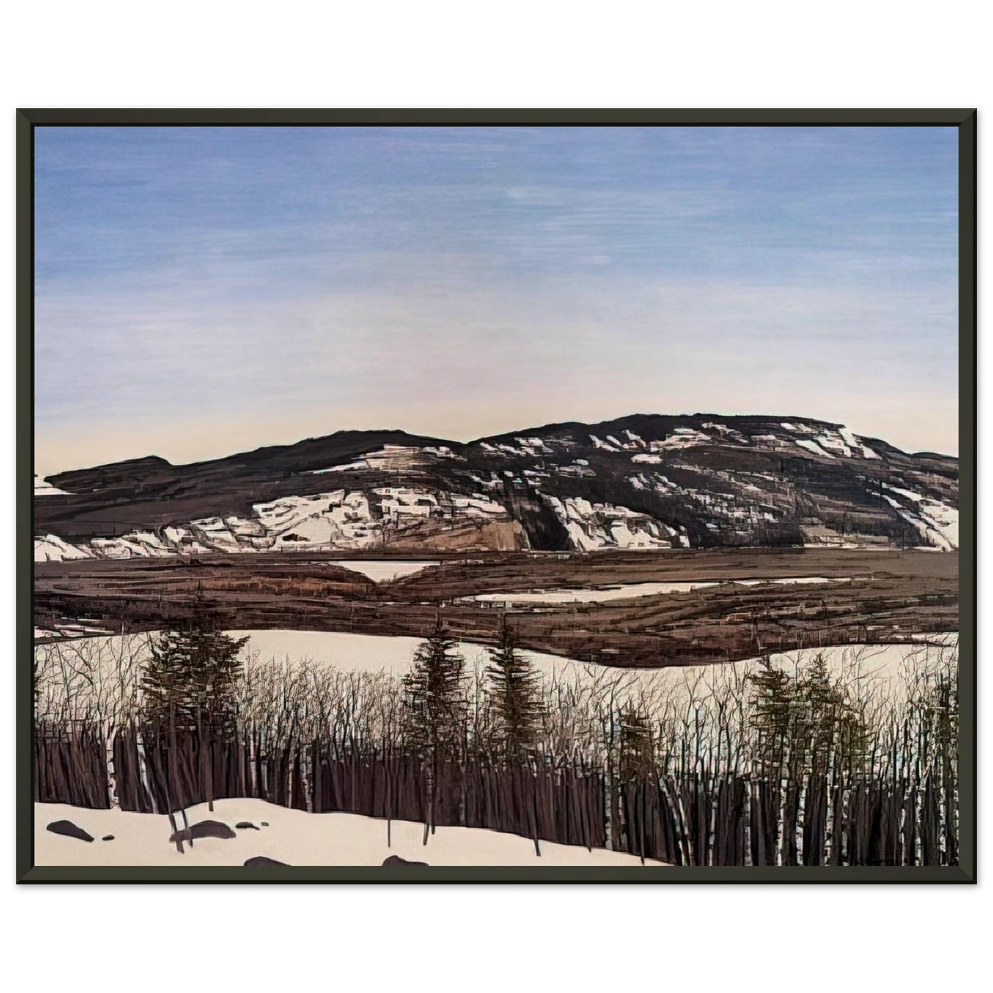 Neil Welliver Hope to Megunticook 1992 Framed Art Print - Aluminum Frame - 40x50 cm / 16x20 inches