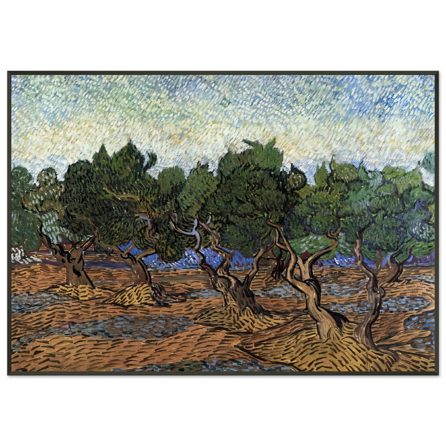 Vincent van Gogh  Olive Grove Framed Art Print  - Aluminum Frame - 21x29.7 cm / 8x12"