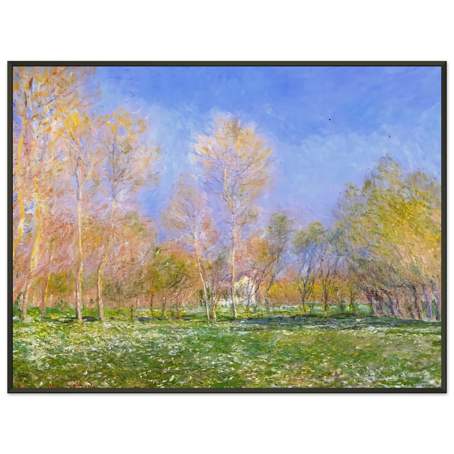 claude monet  Springtime in Giverny Framed Art Print  - Aluminum Frame - 60x80 cm / 24x32 inches