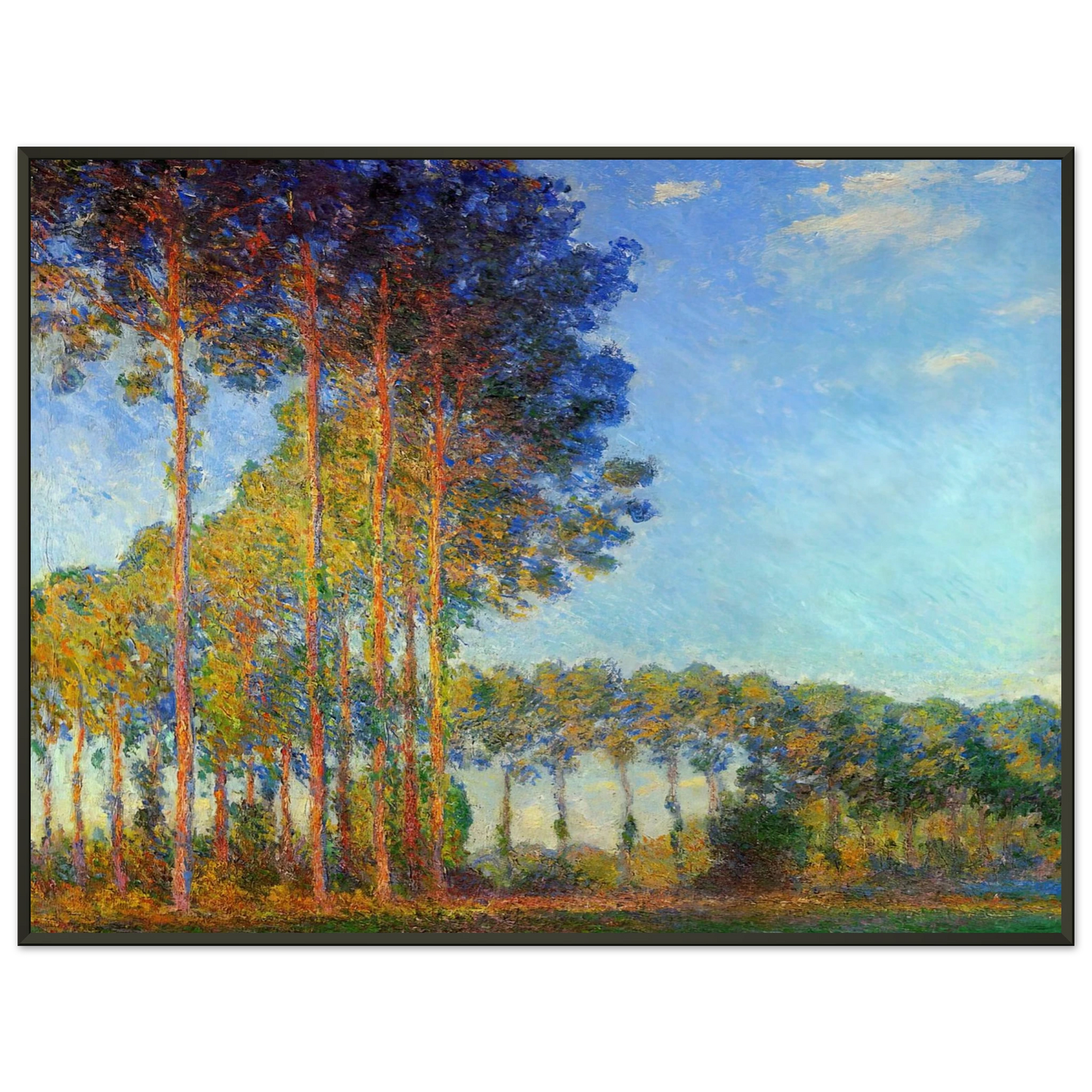 claude monet  Poplars on the Banks of the River Epte Seen from the Marsh Framed Art Print  - Aluminum Frame - 60x80 cm / 24x32 inches