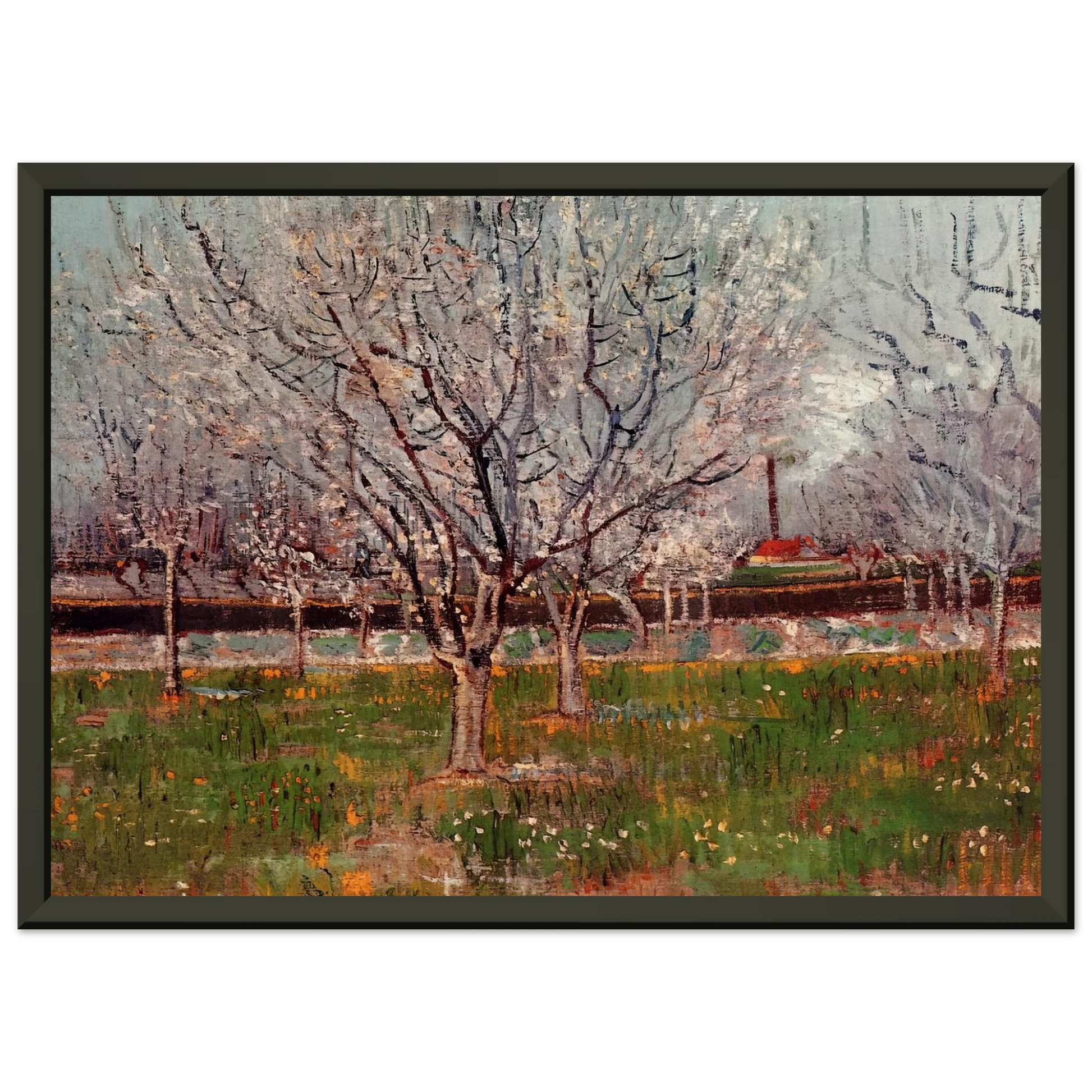 Vincent van Gogh  Orchard in Blossom Plum Trees Framed Art Print  - Aluminum Frame - 70x100 cm / 28x40 inches