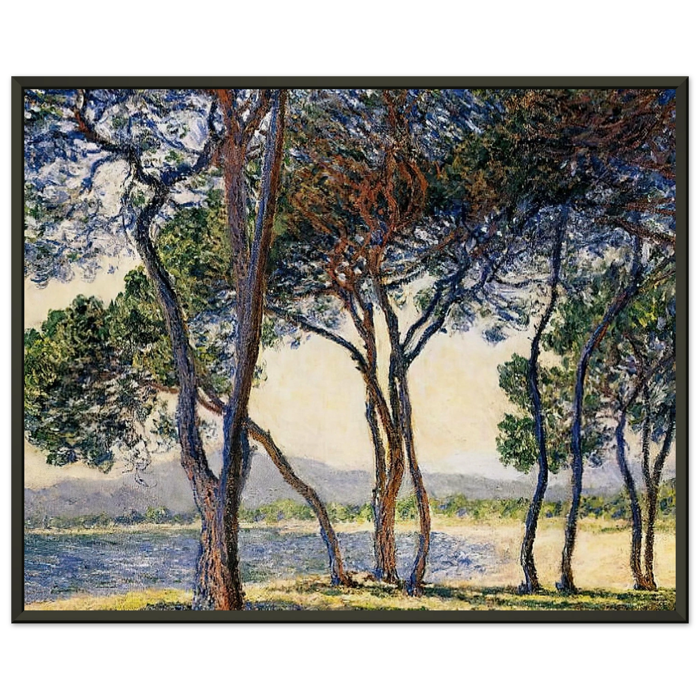 claude monet Trees by the Seashore at Antibes Framed Art Print - Aluminum Frame - 70x100 cm / 28x40 inches