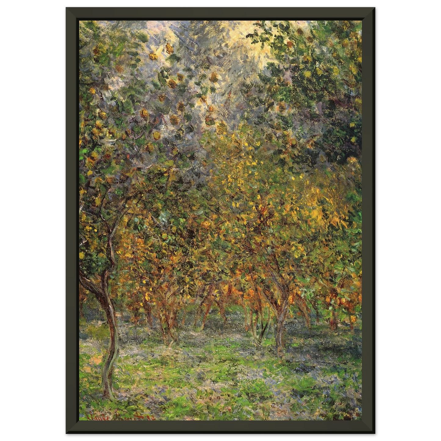 claude monet Under the Lemon Trees Framed Art Print - Aluminum Frame - 40x50 cm / 16x20 inches