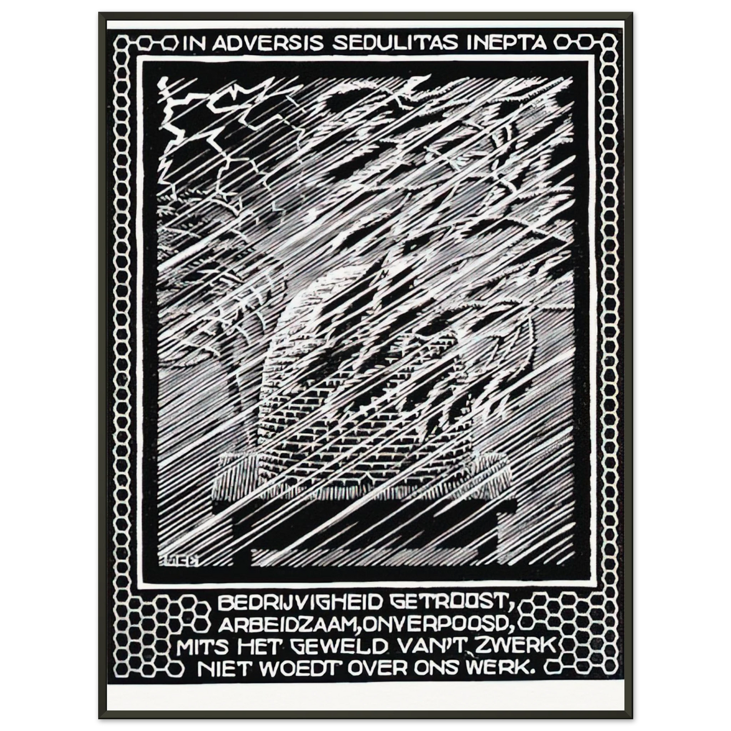 MC Escher  EMBLEMATA BEEHIVE Framed Art Print  - Aluminum Frame - 70x100 cm / 28x40 inches