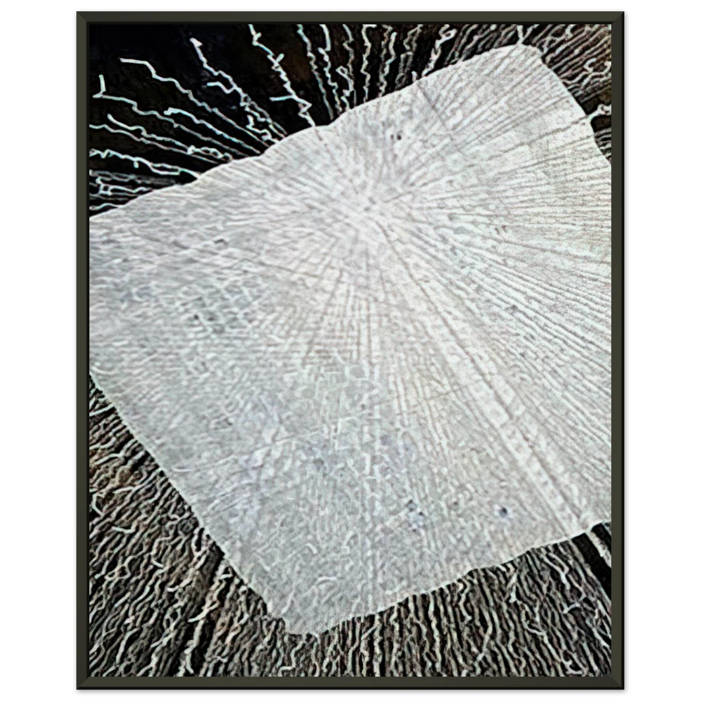 f0105c58-4a5a-4839-aa03-1bfa8ff2cd6e