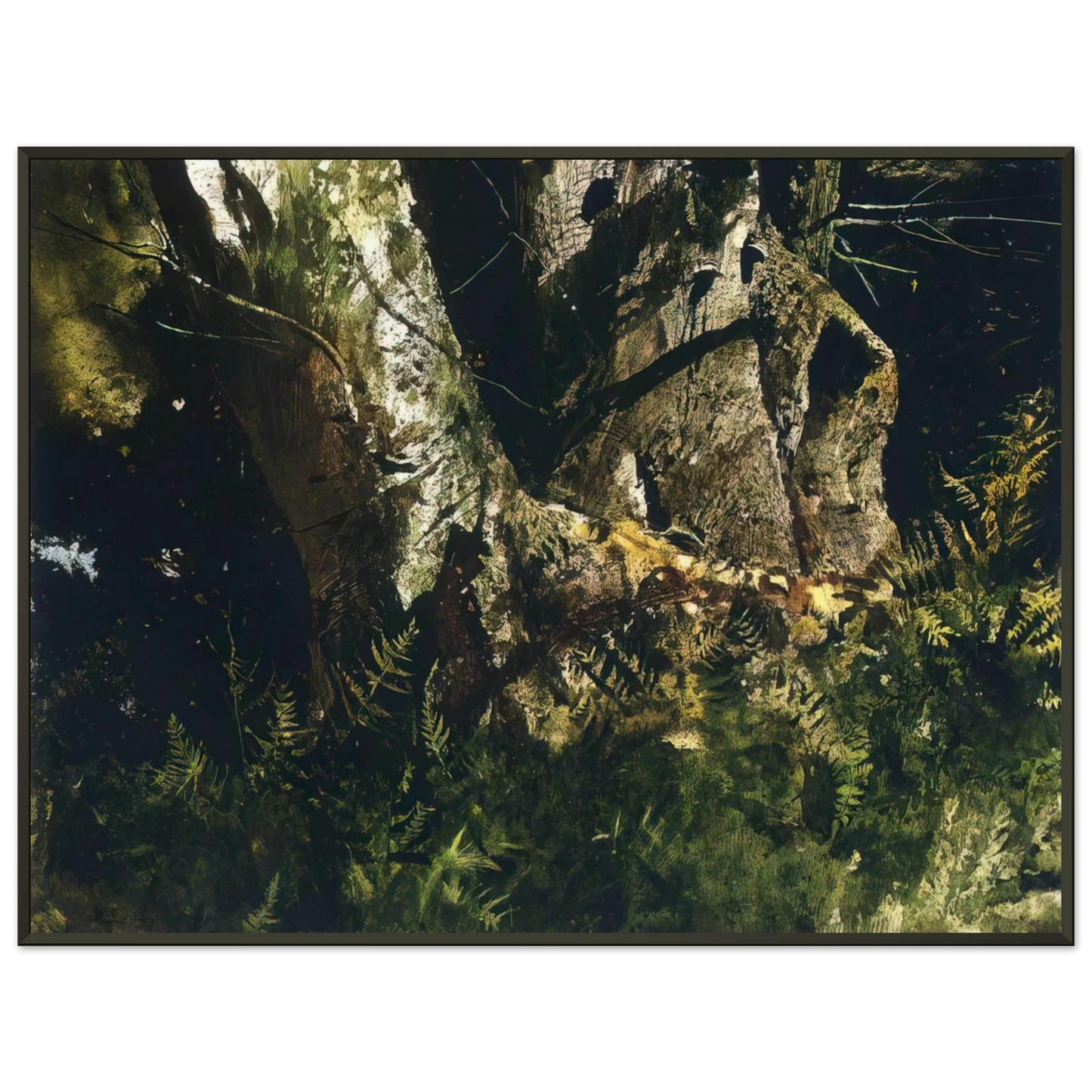 Andrew Wyeth VIRGIN BIRCH 1982 Framed Art Print - Aluminum Frame - 60x80 cm / 24x32 inches
