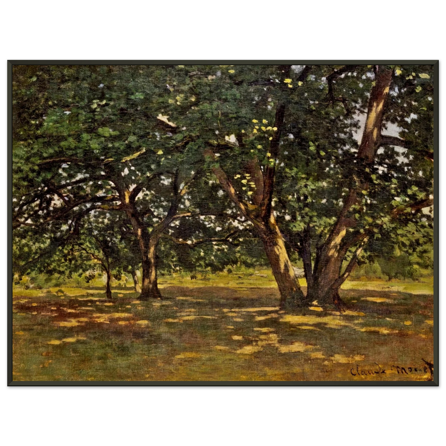 claude monet  Fontainebleau Forest Framed Art Print  - Aluminum Frame - 40x50 cm / 16x20 inches