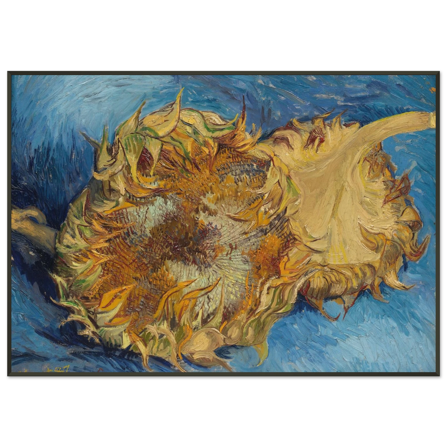 Vincent van Gogh  Still Life with Two Sunflowers Framed Art Print  - Aluminum Frame - 21x29.7 cm / 8x12"