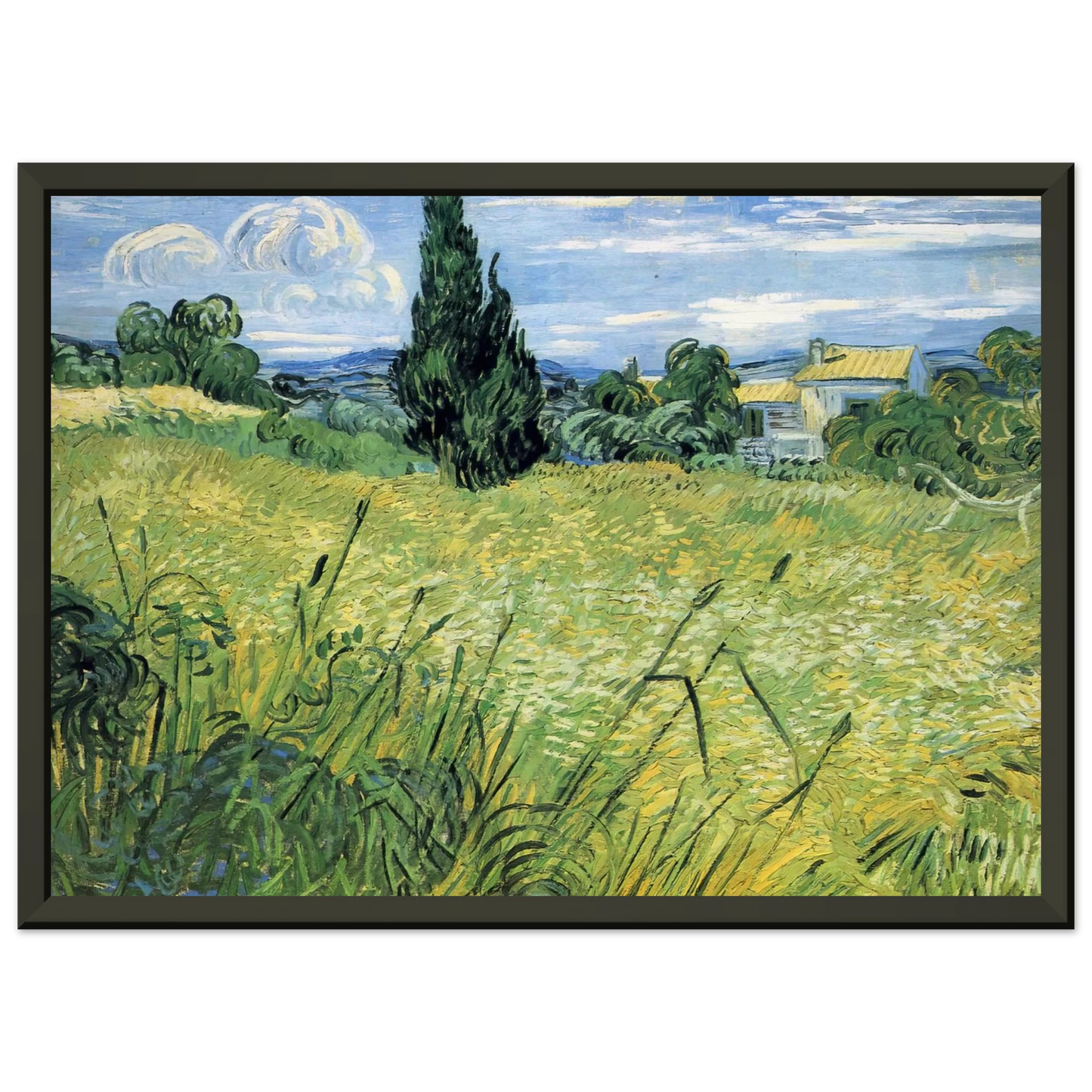 Vincent van Gogh  Green Wheat Field with Cypress Framed Art Print  - Aluminum Frame - 70x100 cm / 28x40 inches
